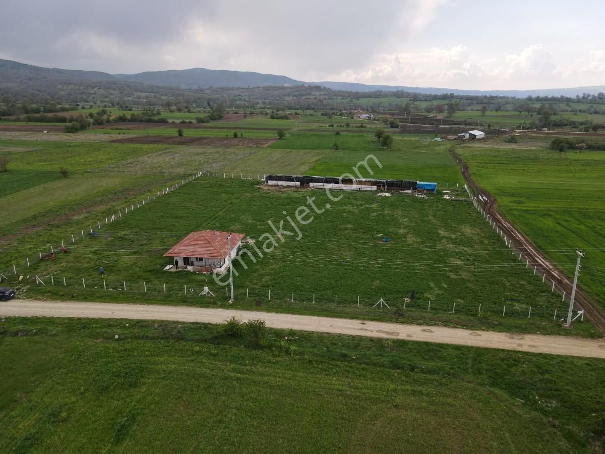 Bilecik Pazaryeri Beşikli Mahallesinde Satılık Köşe Parsel