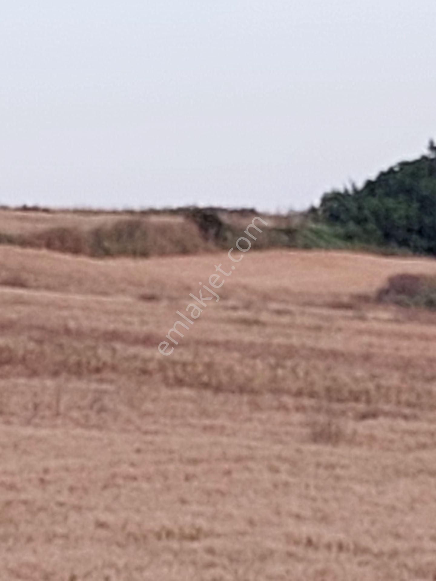 Bursa Karacabey Çamlıcada Anayola Yakın Satılık Yatırımlık 2000m2 Tarla - Görsel 18