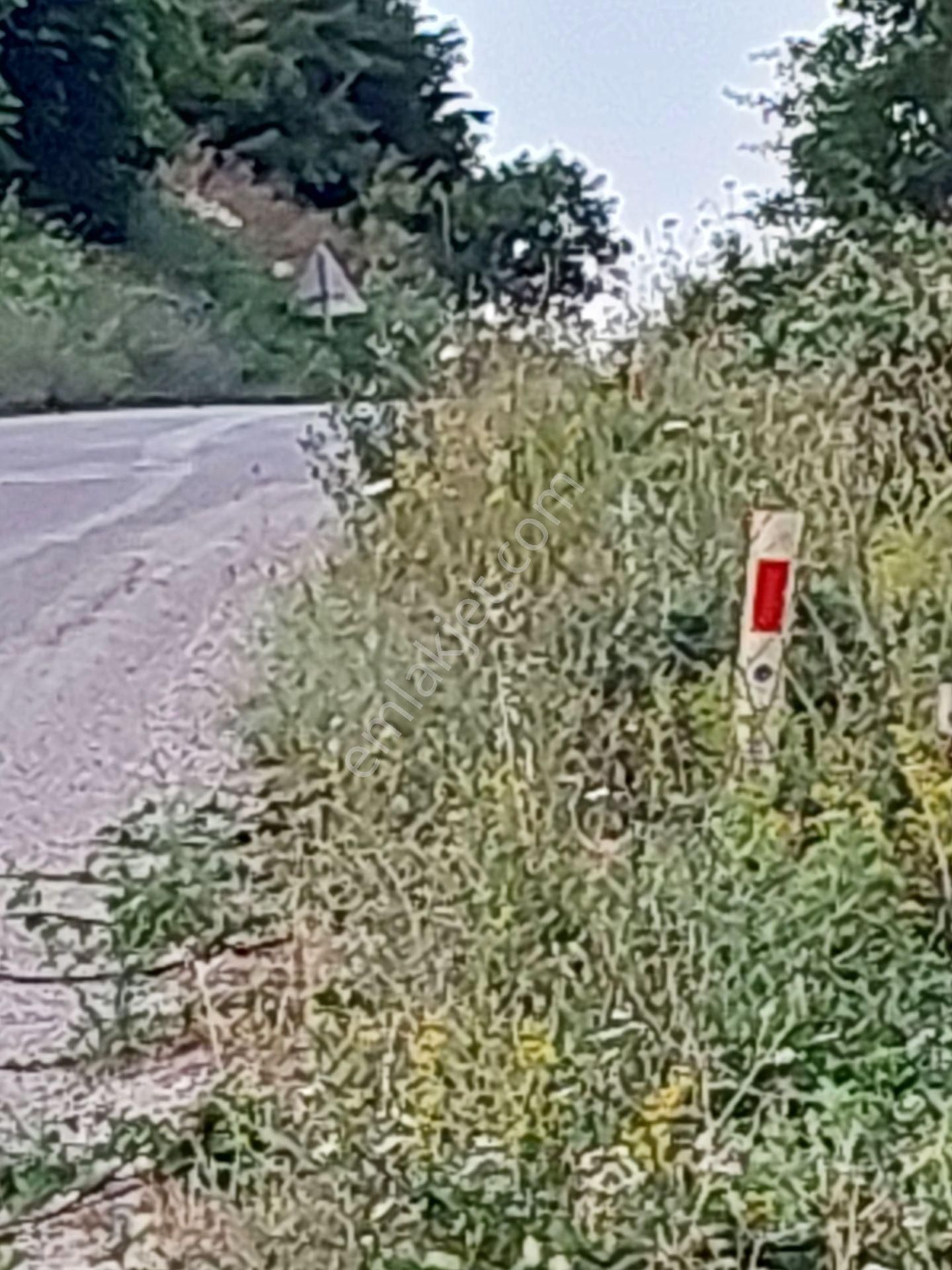 Bursa Karacabey Çamlıcada Anayola Yakın Satılık Yatırımlık 2000m2 Tarla - Görsel 22