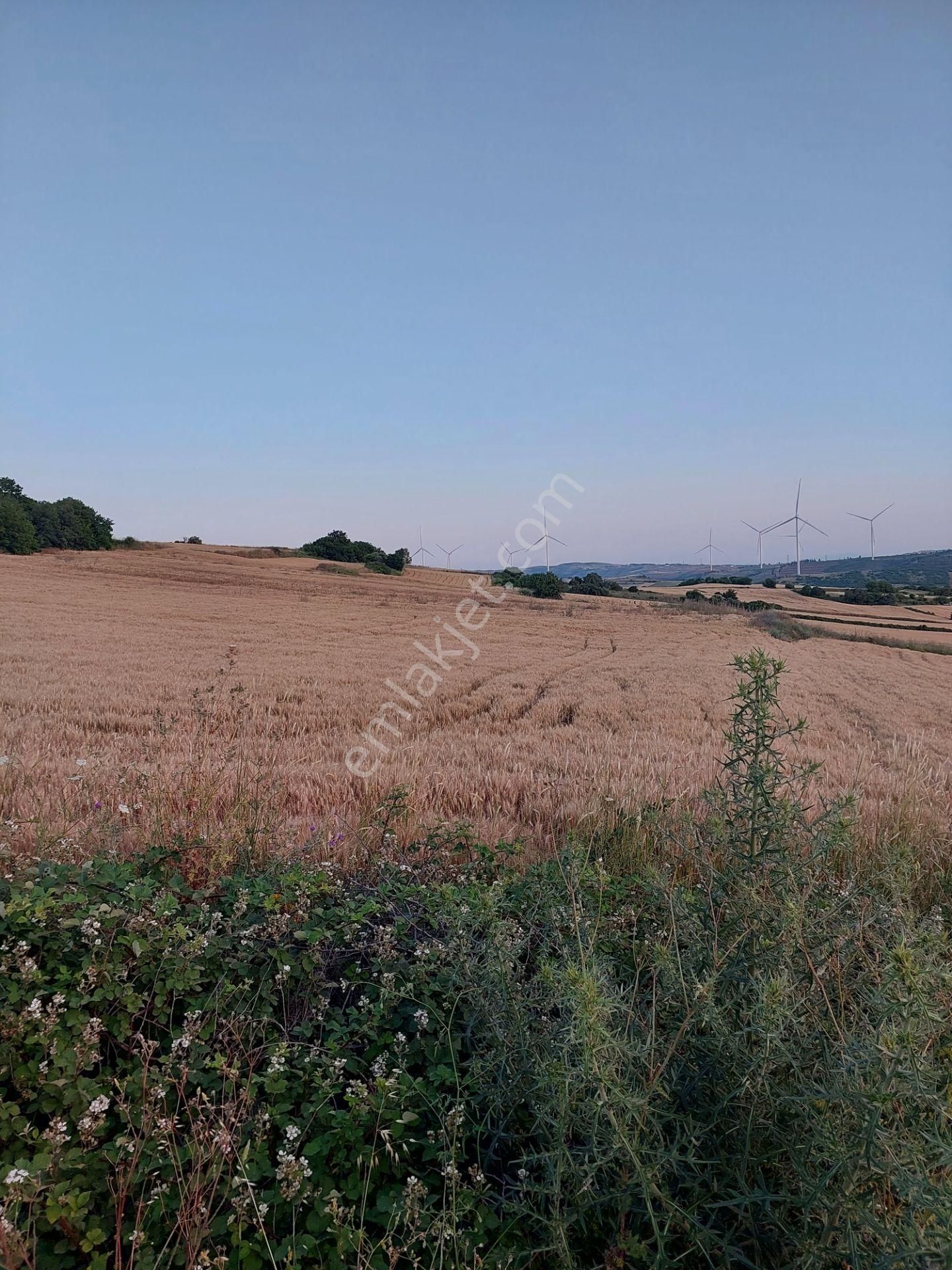 Bursa Karacabey Çamlıcada Anayola Yakın Satılık Yatırımlık 2000m2 Tarla - Görsel 16