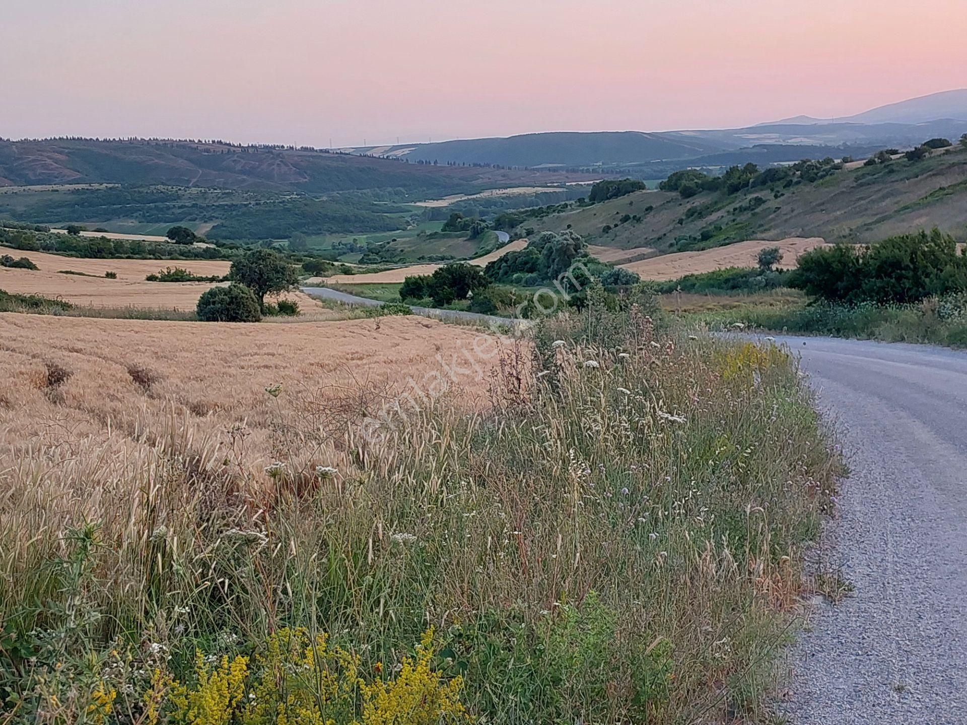 Bursa Karacabey Çamlıcada Anayola Yakın Satılık Yatırımlık 2000m2 Tarla - Görsel 10