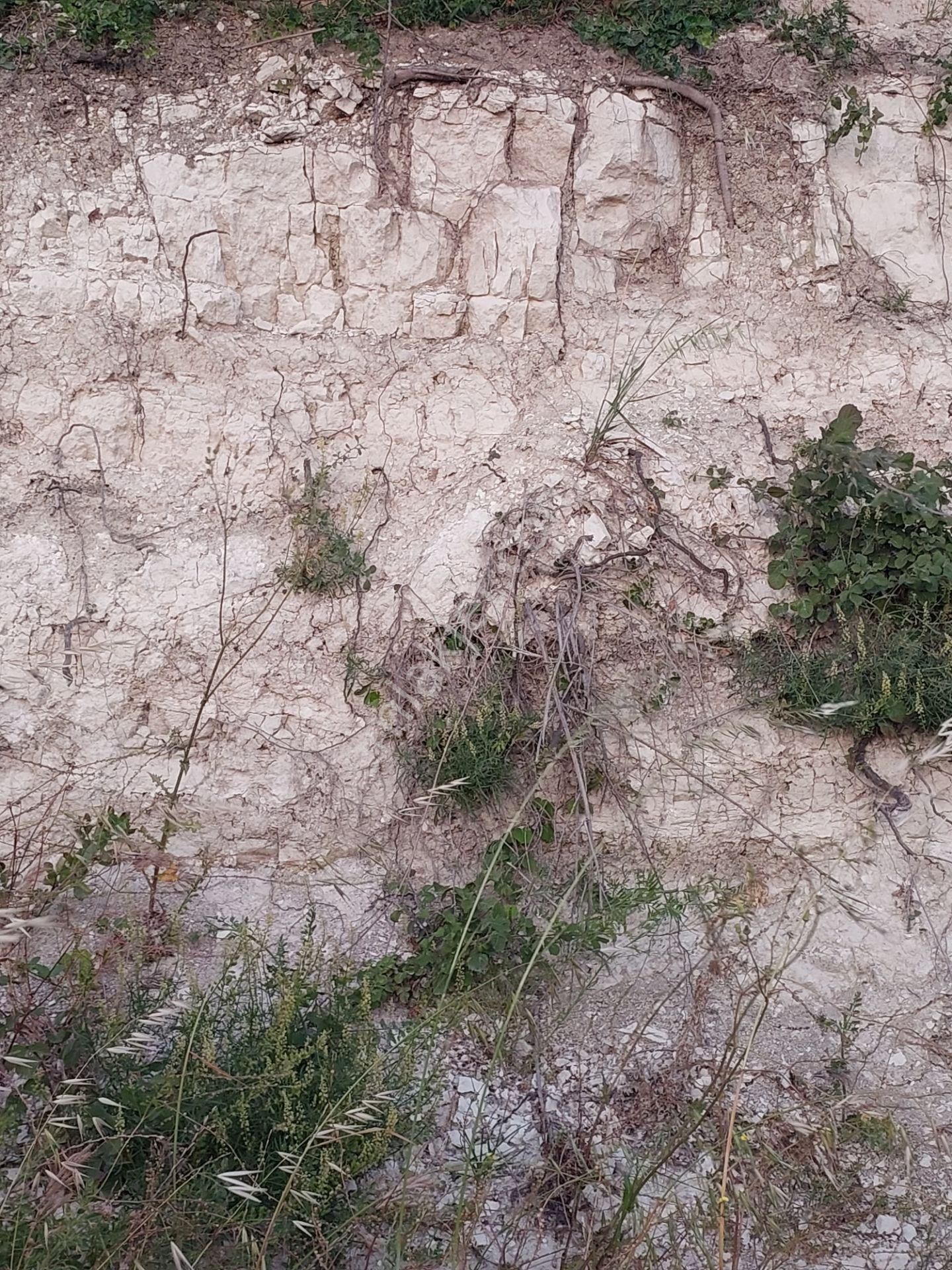 Bursa Karacabey Çamlıcada Anayola Yakın Satılık Yatırımlık 2000m2 Tarla - Görsel 8