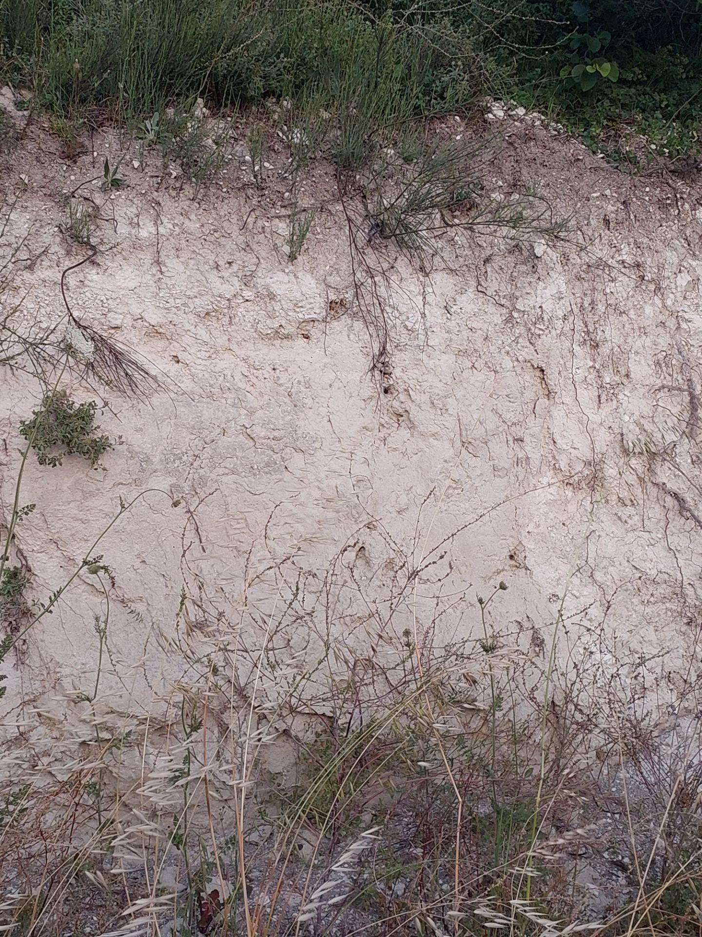 Bursa Karacabey Çamlıcada Anayola Yakın Satılık Yatırımlık 2000m2 Tarla - Görsel 6