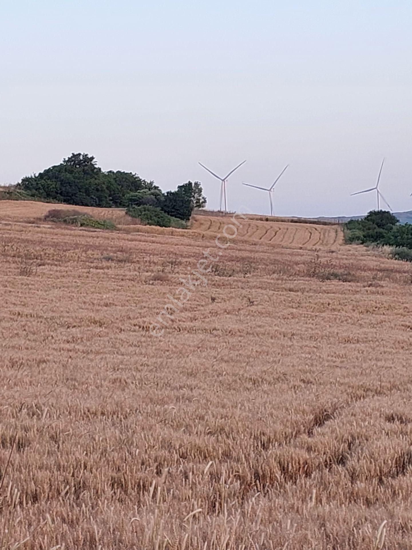 Bursa Karacabey Çamlıcada Anayola Yakın Satılık Yatırımlık 2000m2 Tarla - Görsel 15