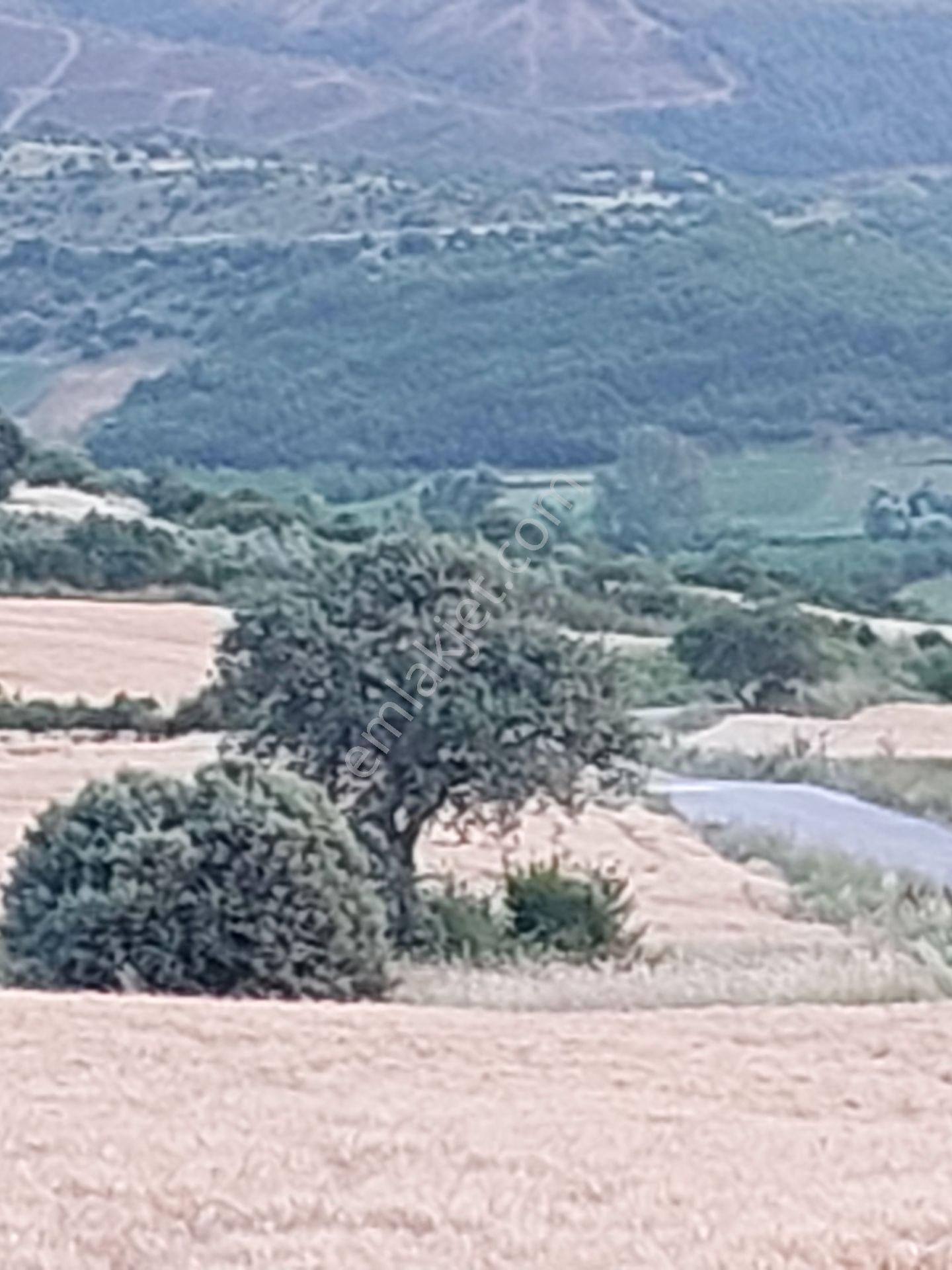 Bursa Karacabey Çamlıcada Anayola Yakın Satılık Yatırımlık 2000m2 Tarla - Görsel 20