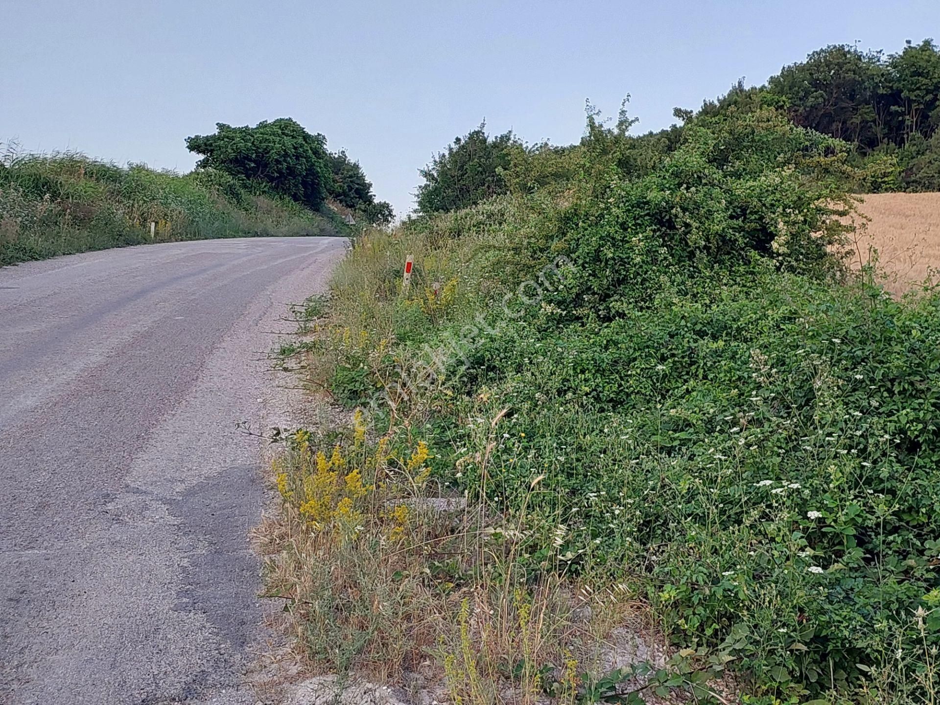 Bursa Karacabey Çamlıcada Anayola Yakın Satılık Yatırımlık 2000m2 Tarla - Görsel 11