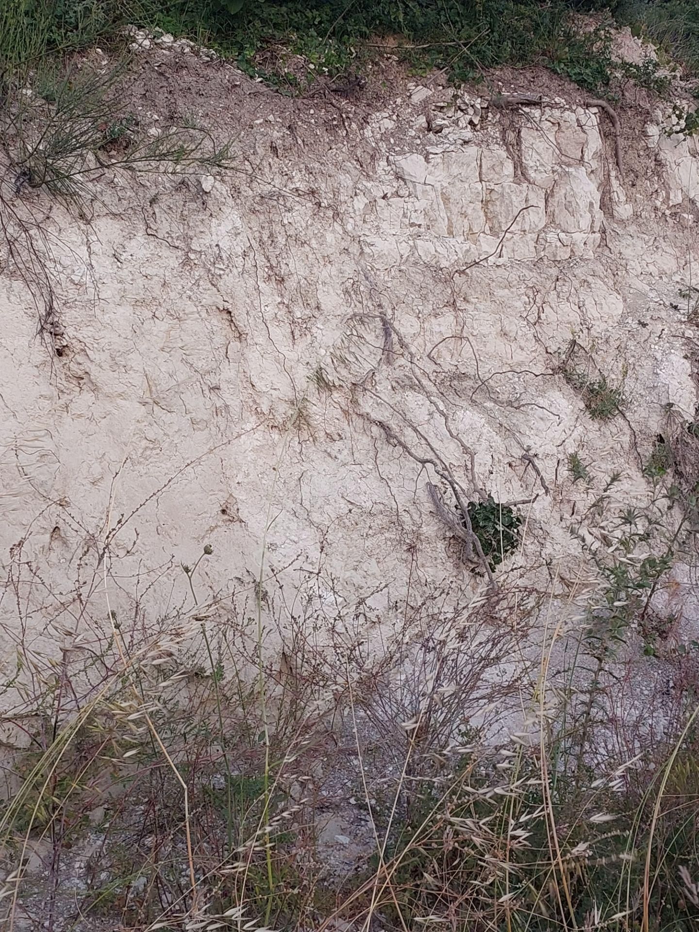 Bursa Karacabey Çamlıcada Anayola Yakın Satılık Yatırımlık 2000m2 Tarla - Görsel 7
