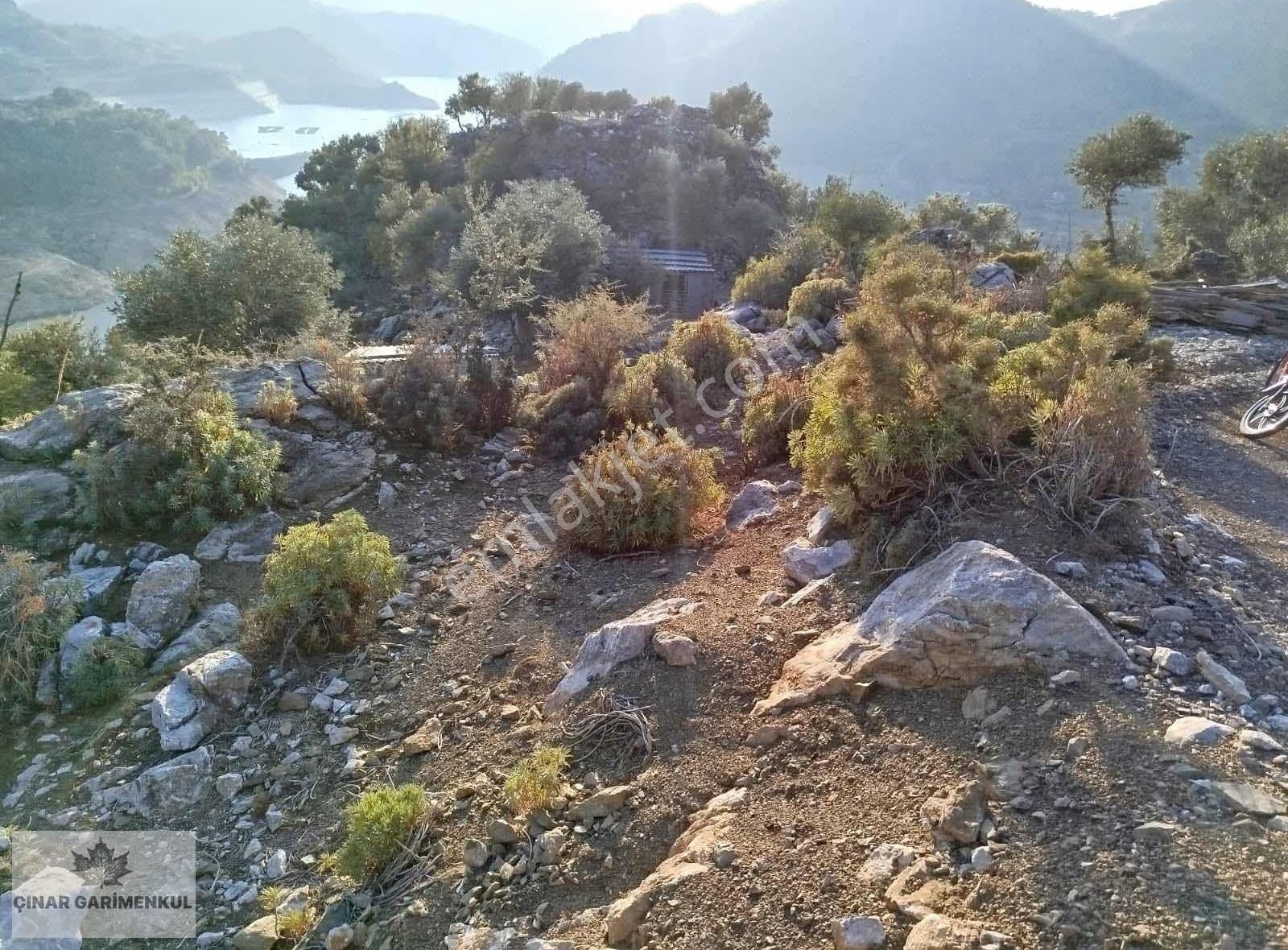 Çınar Gayrimenkul'den Akköprü'de Satılık Tarla