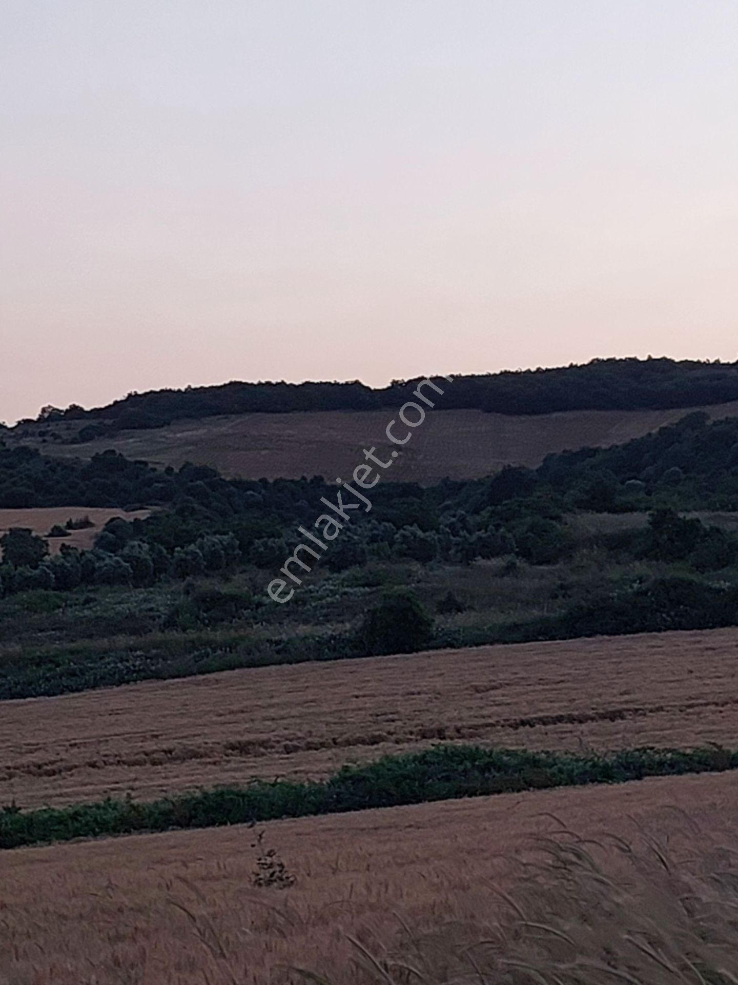 Bursa Karacabey Çamlıcada Anayola Yakın Satılık Yatırımlık 7300m2 Tarla - Görsel 2