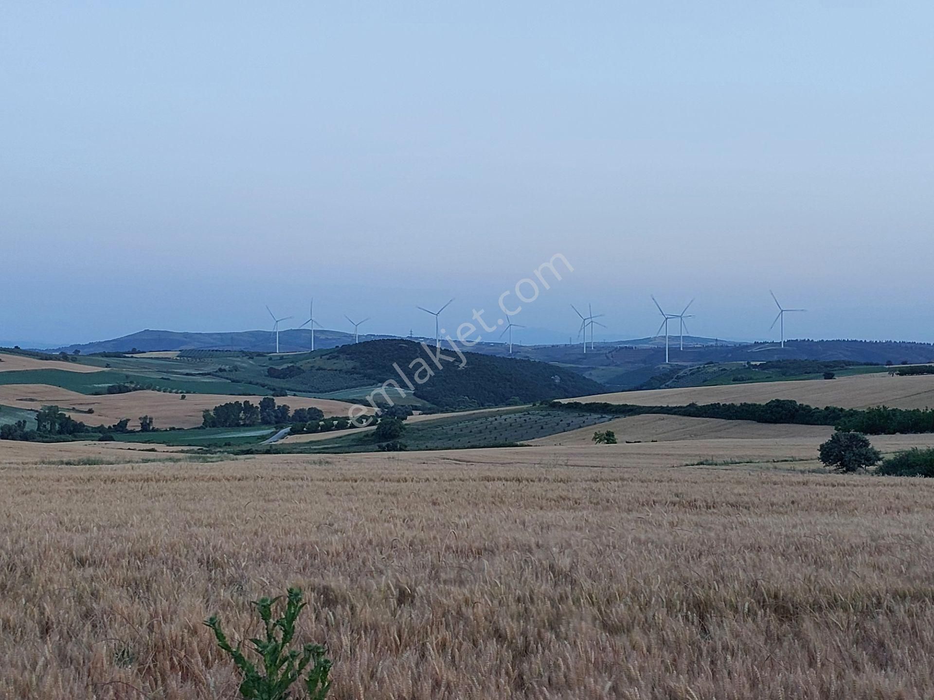 Bursa Karacabey Çamlıcada Anayola Yakın Satılık Yatırımlık 7300m2 Tarla - Görsel 3