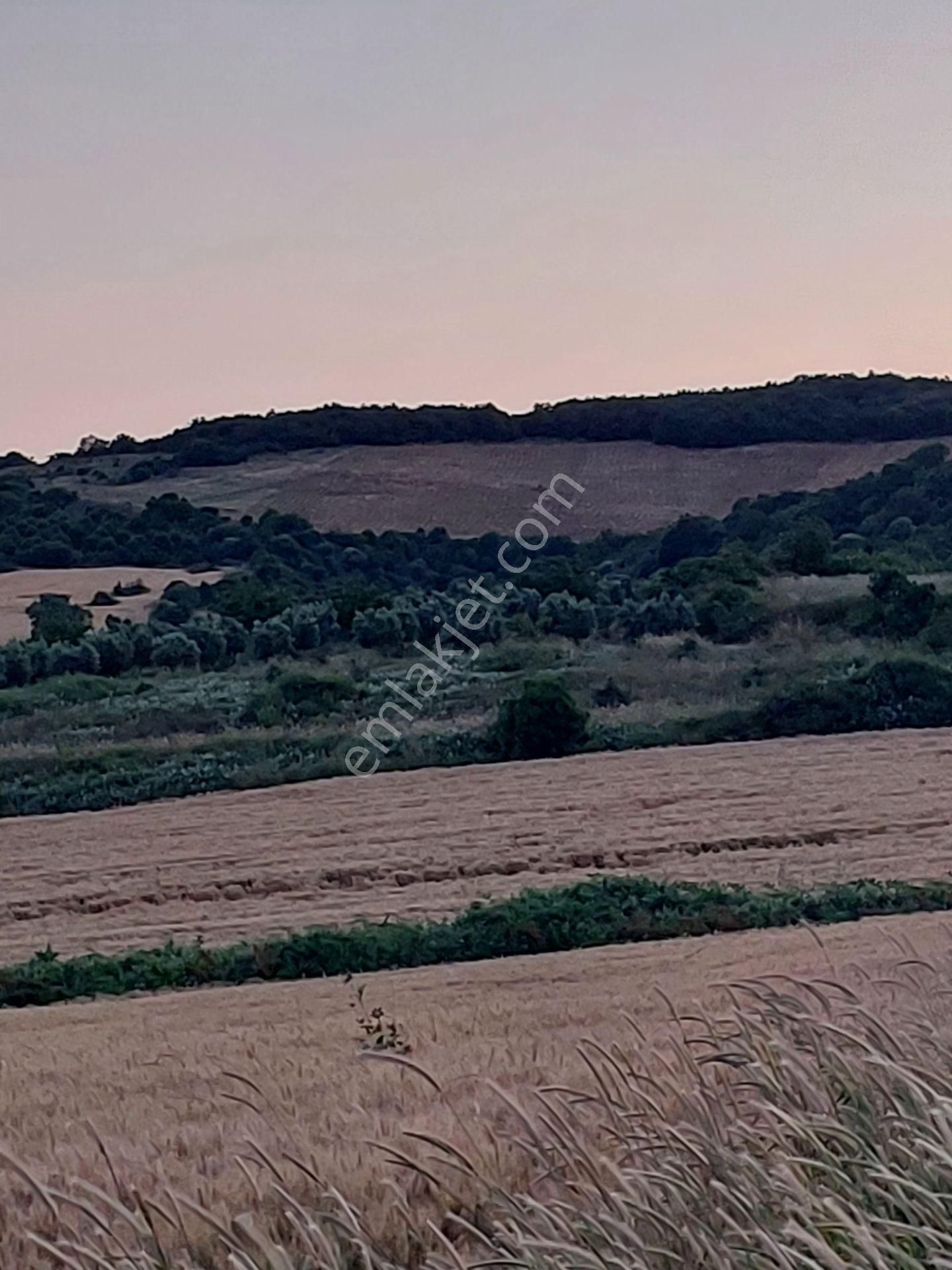 Bursa Karacabey Çamlıcada Anayola Yakın Satılık Yatırımlık 14600m2 Tarla - Görsel 23