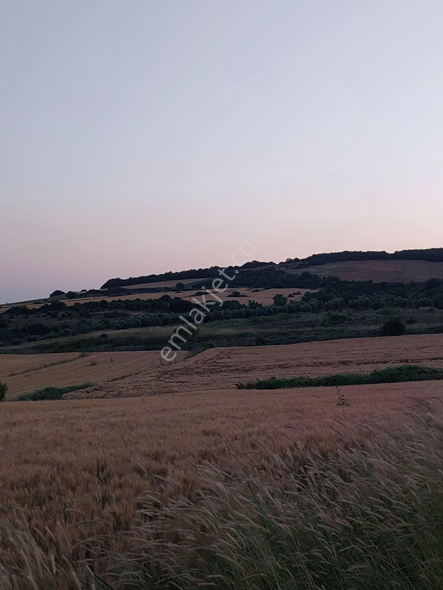 Bursa Karacabey Çamlıcada Anayola Yakın Satılık Yatırımlık 14600m2 Tarla - Görsel 11