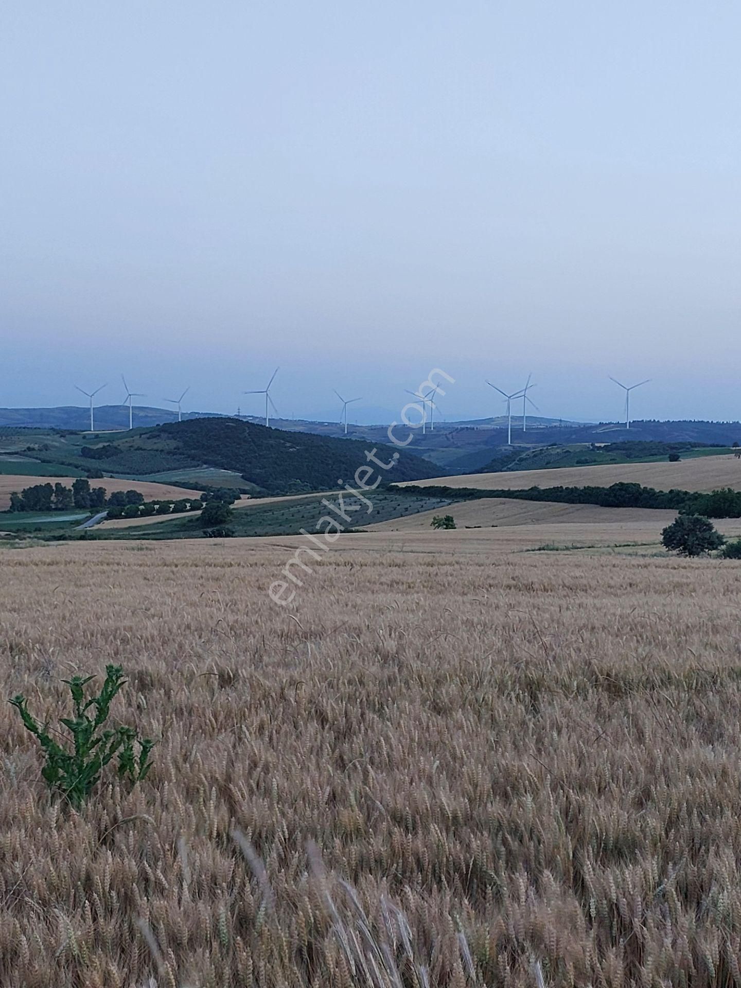 Bursa Karacabey Çamlıcada Anayola Yakın Satılık Yatırımlık 14600m2 Tarla - Görsel 16