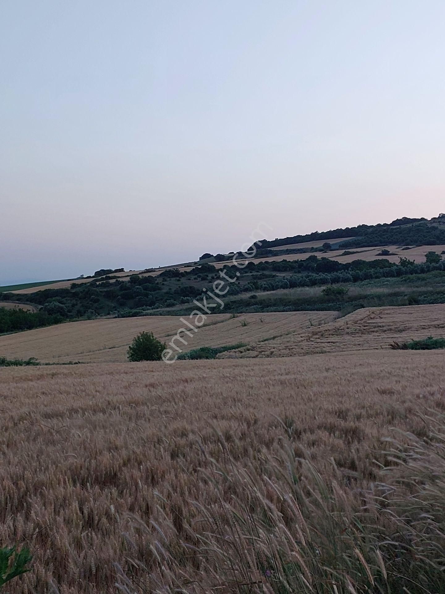 Bursa Karacabey Çamlıcada Anayola Yakın Satılık Yatırımlık 14600m2 Tarla - Görsel 20