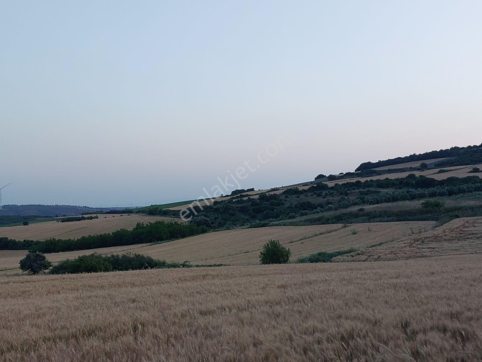 Bursa Karacabey Çamlıcada Anayola Yakın Satılık Yatırımlık 14600m2 Tarla - Görsel 6