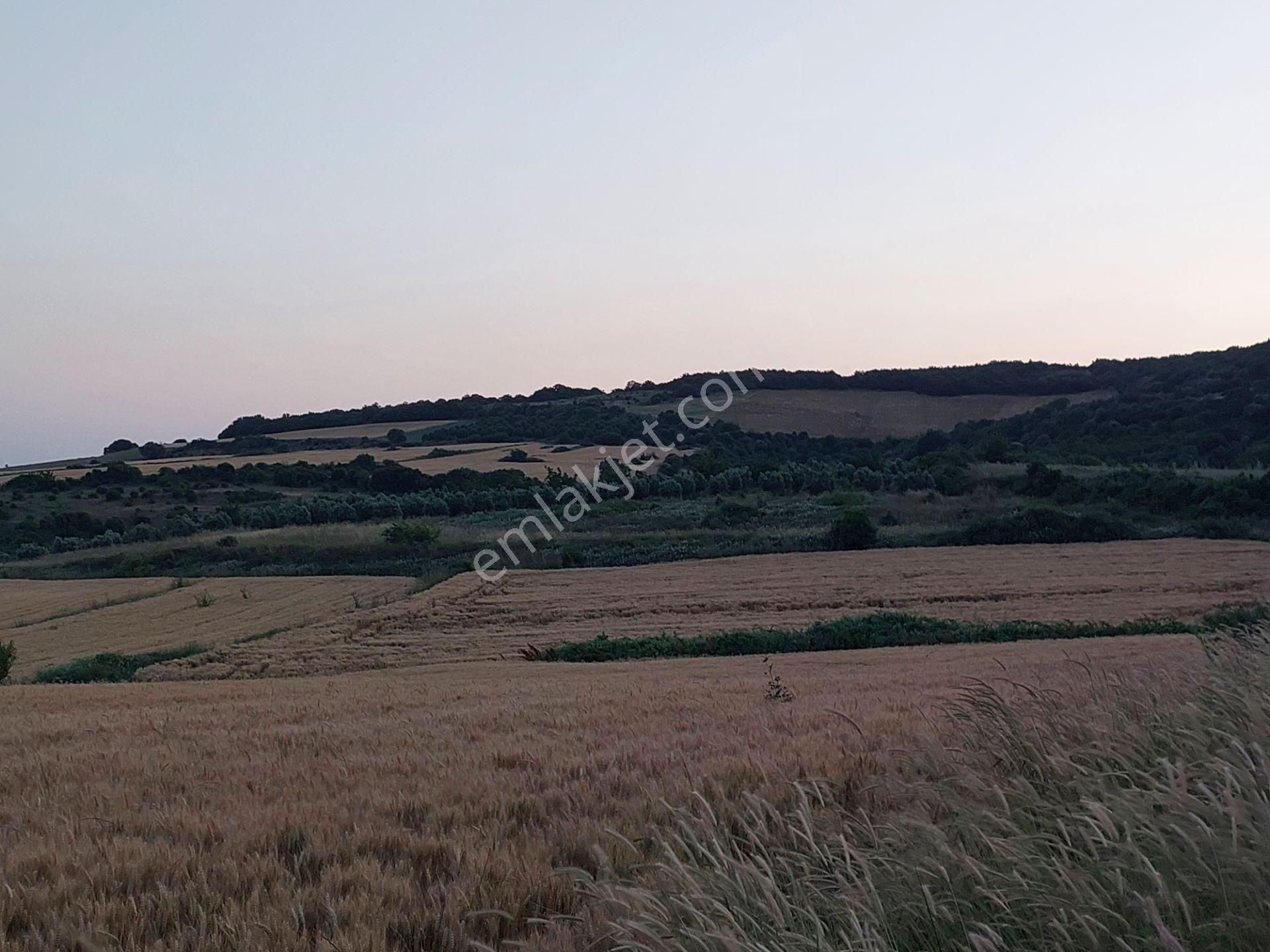 Bursa Karacabey Çamlıcada Anayola Yakın Satılık Yatırımlık 14600m2 Tarla - Görsel 13