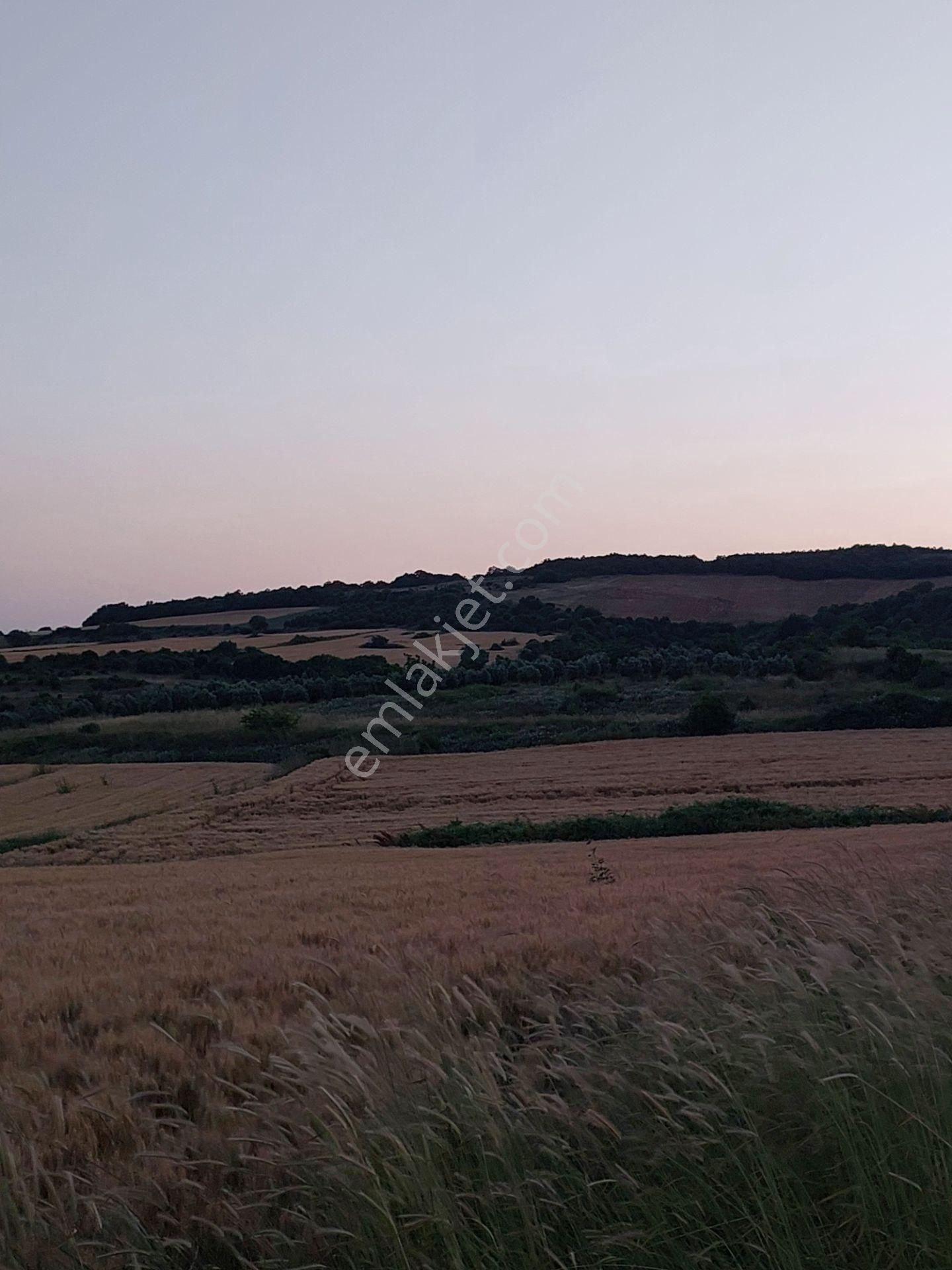 Bursa Karacabey Çamlıcada Anayola Yakın Satılık Yatırımlık 14600m2 Tarla - Görsel 10