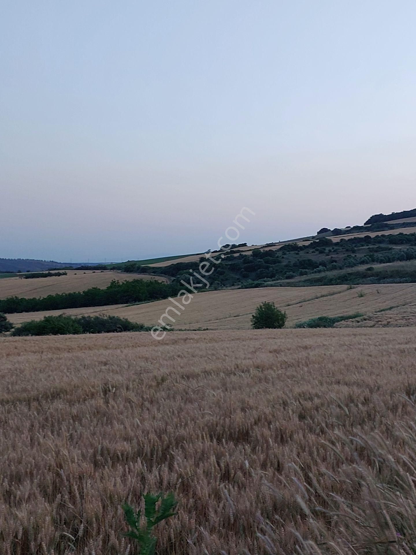 Bursa Karacabey Çamlıcada Anayola Yakın Satılık Yatırımlık 14600m2 Tarla - Görsel 19