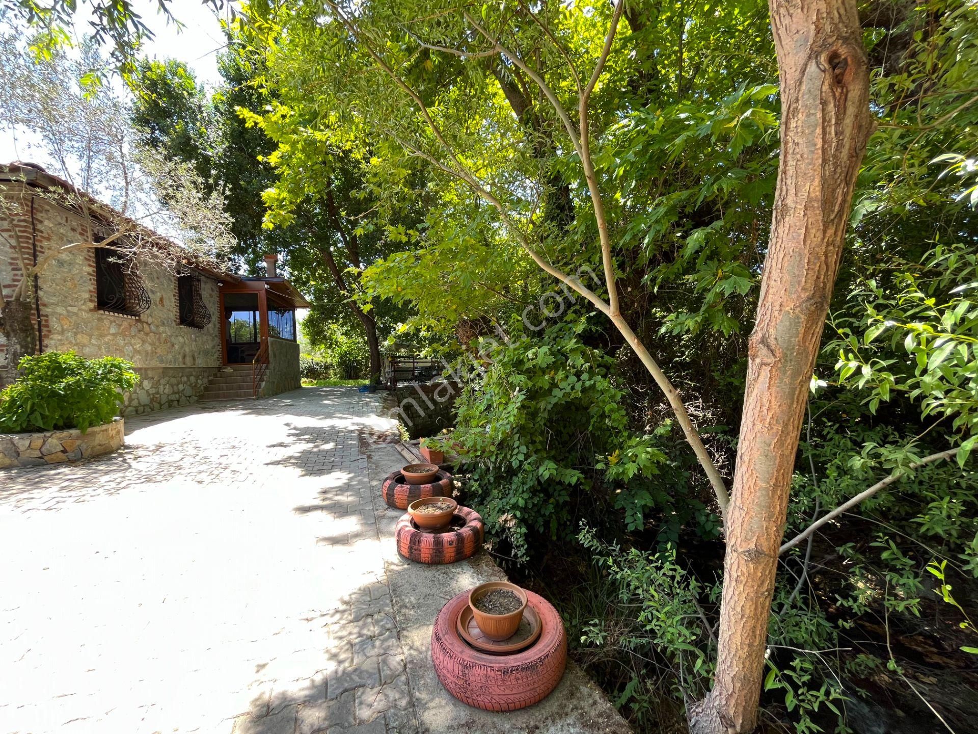 Kazdağları’nda Doğa İçinde Satılık Taş Ev Ve Zeytinlik - Görsel 6