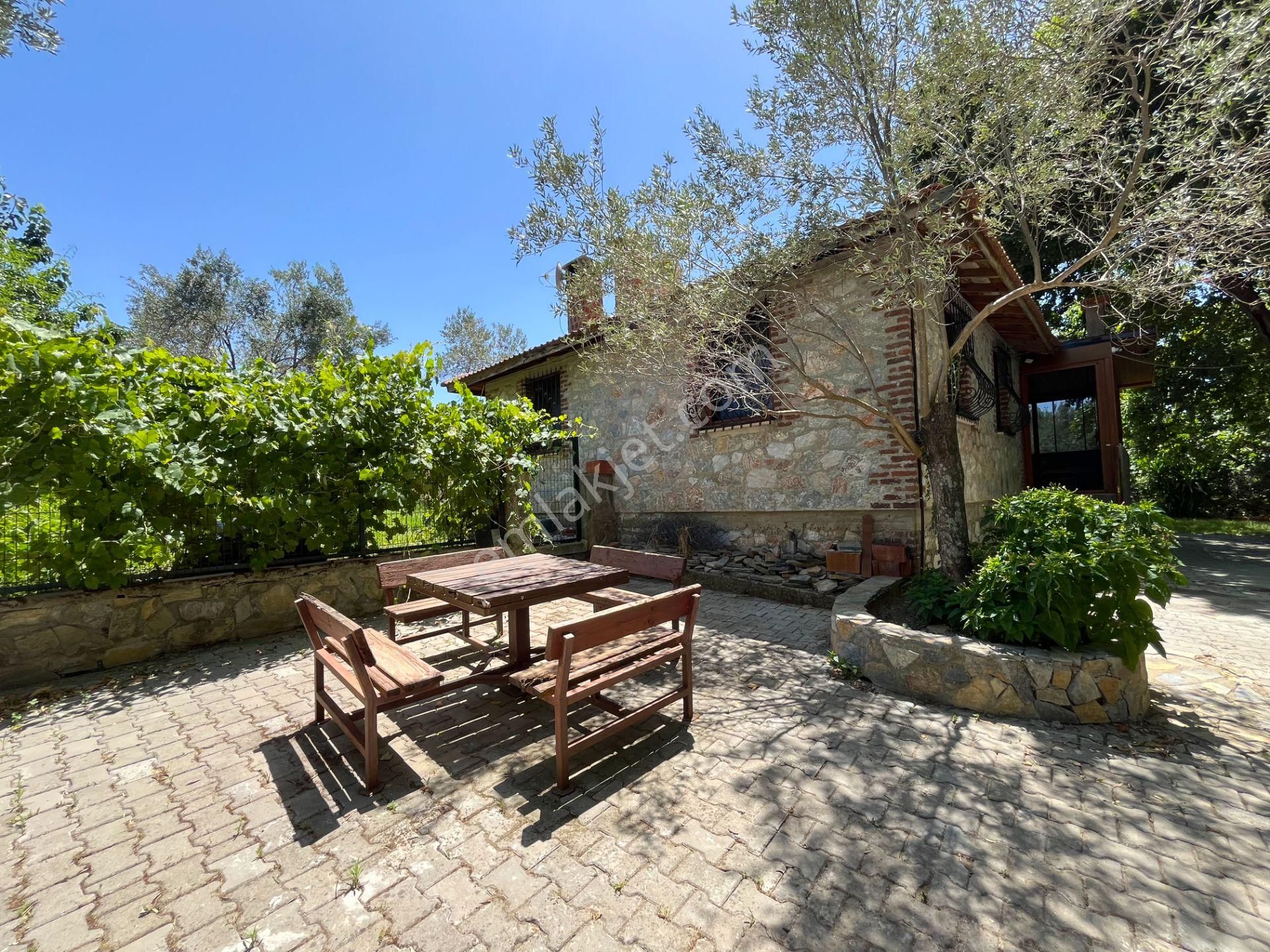 Kazdağları’nda Doğa İçinde Satılık Taş Ev Ve Zeytinlik - Görsel 7