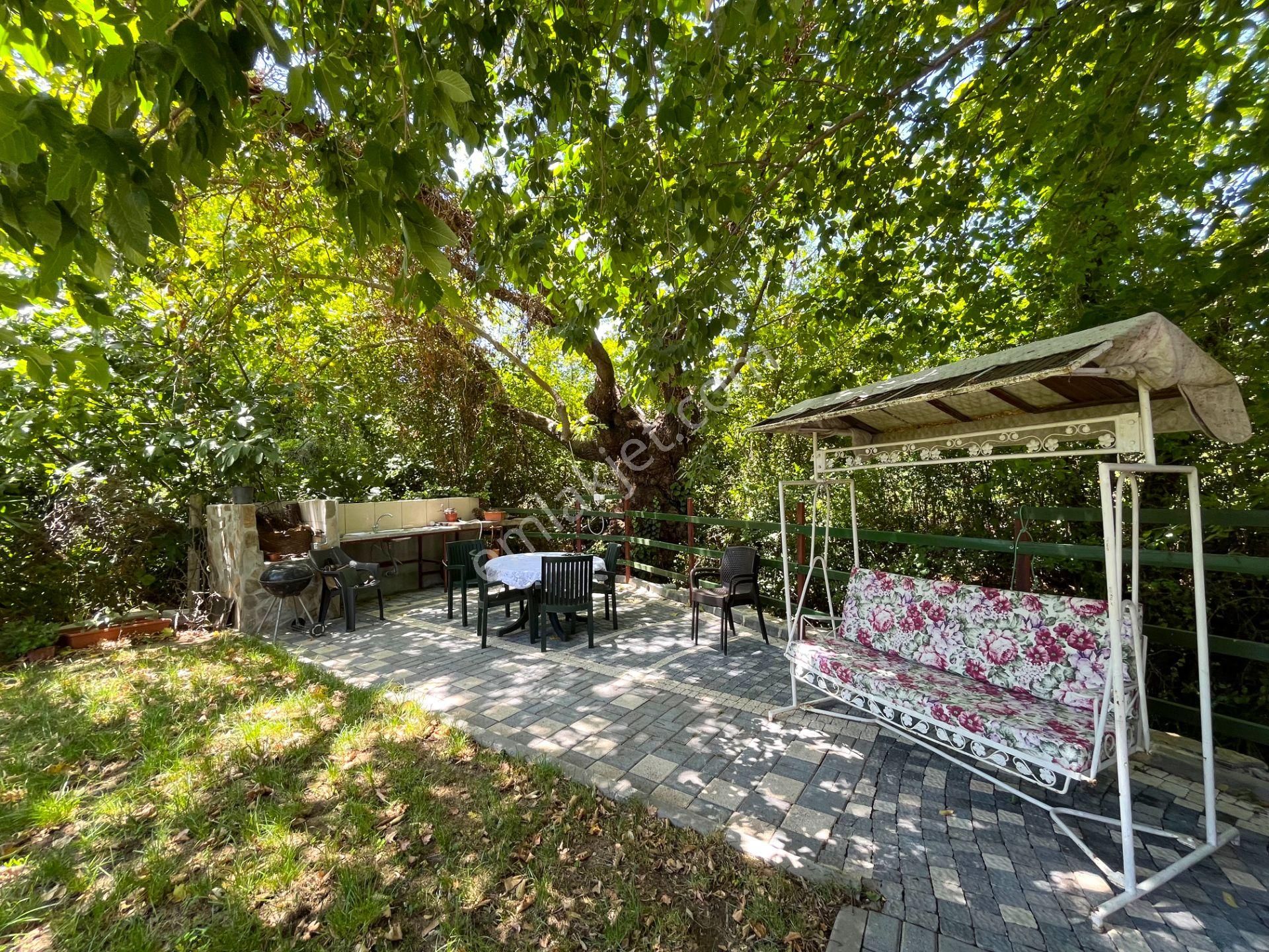 Kazdağları’nda Doğa İçinde Satılık Taş Ev Ve Zeytinlik - Görsel 24