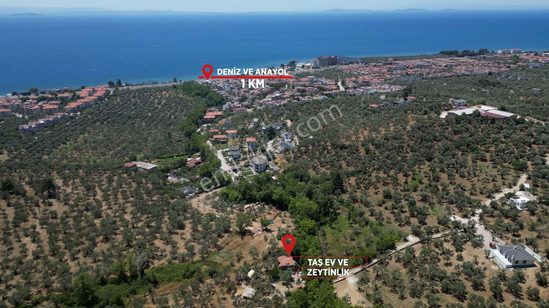 Kazdağları’nda Doğa İçinde Satılık Taş Ev Ve Zeytinlik - Görsel 35