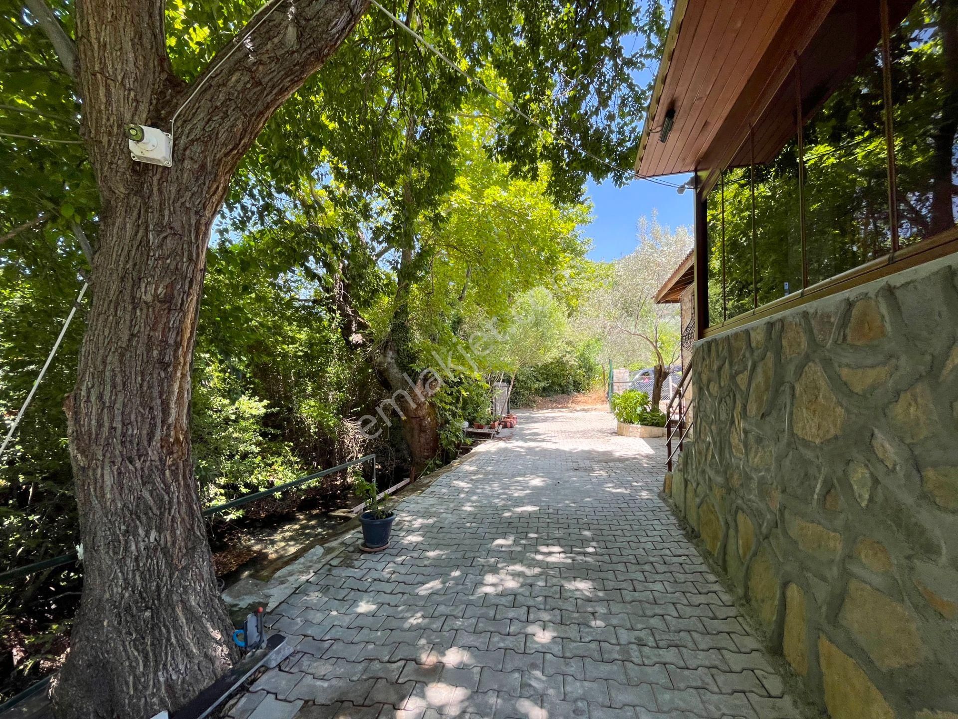 Kazdağları’nda Doğa İçinde Satılık Taş Ev Ve Zeytinlik - Görsel 20