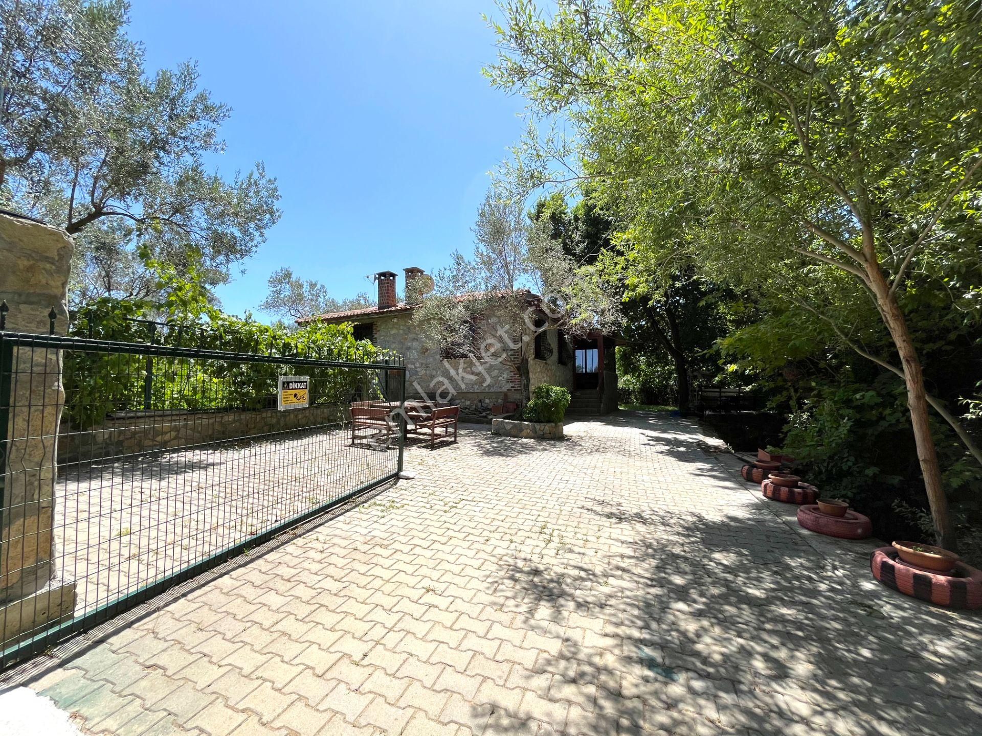 Kazdağları’nda Doğa İçinde Satılık Taş Ev Ve Zeytinlik - Görsel 5