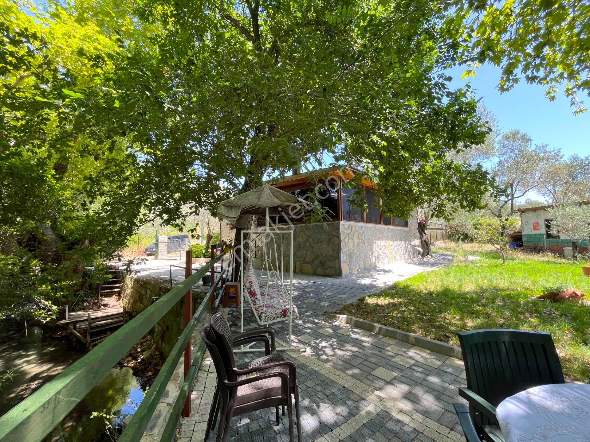 Kazdağları’nda Doğa İçinde Satılık Taş Ev Ve Zeytinlik - Görsel 19