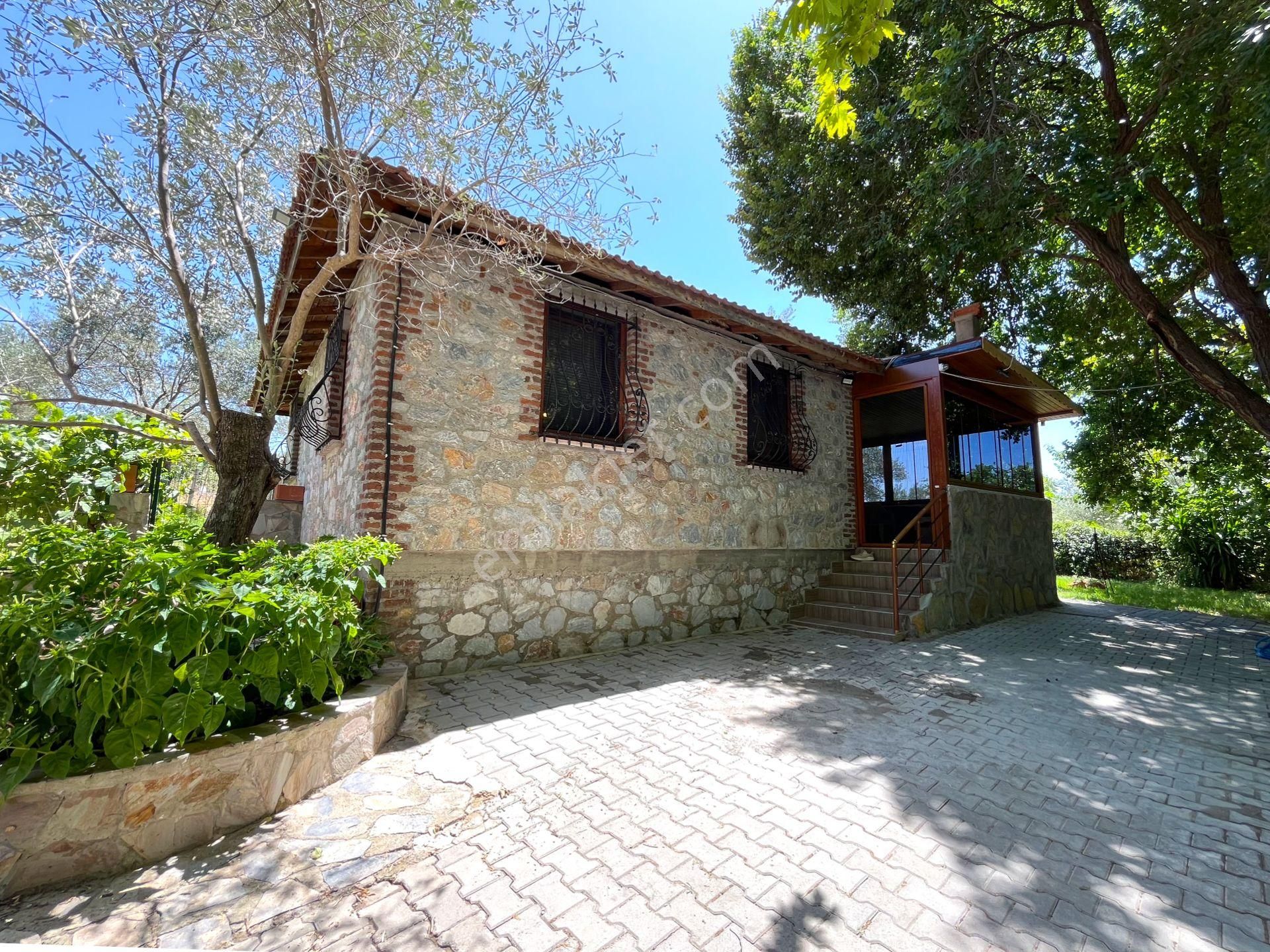 Kazdağları’nda Doğa İçinde Satılık Taş Ev Ve Zeytinlik - Görsel 2