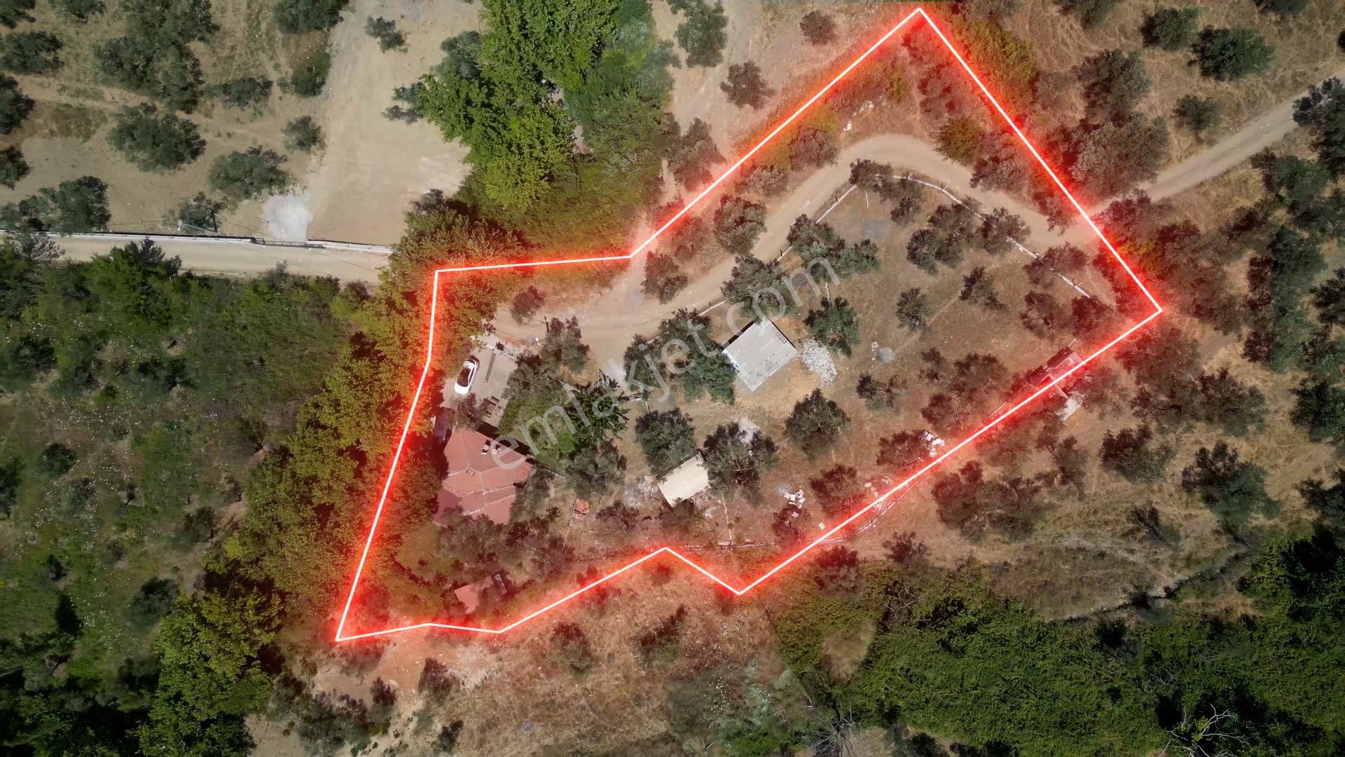 Kazdağları’nda Doğa İçinde Satılık Taş Ev Ve Zeytinlik - Görsel 34