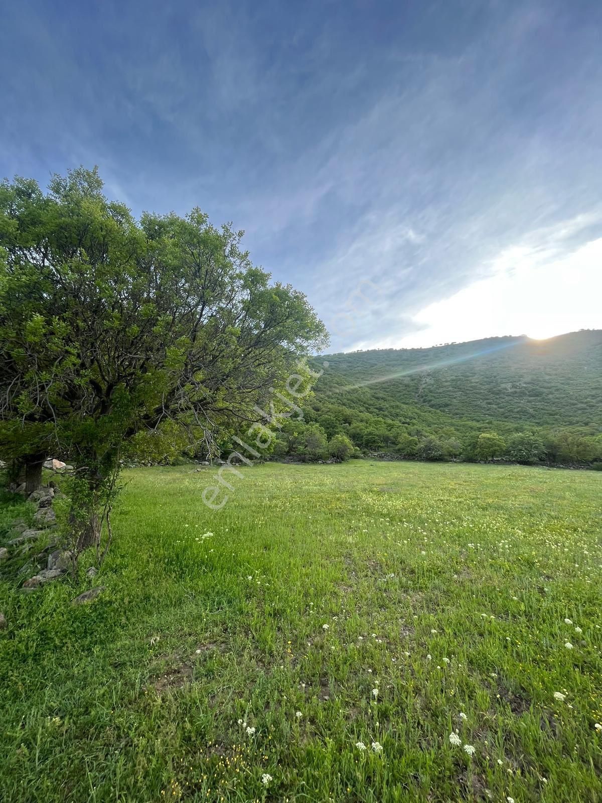 Eğribucak Satılık 6515 Metre Satılık Tarla İmara Yakın