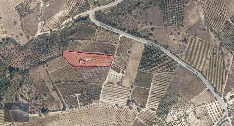 Camili Mah Bn Otel Yolunda Satılık Geniş Arsa İçinde Müstakil Ev