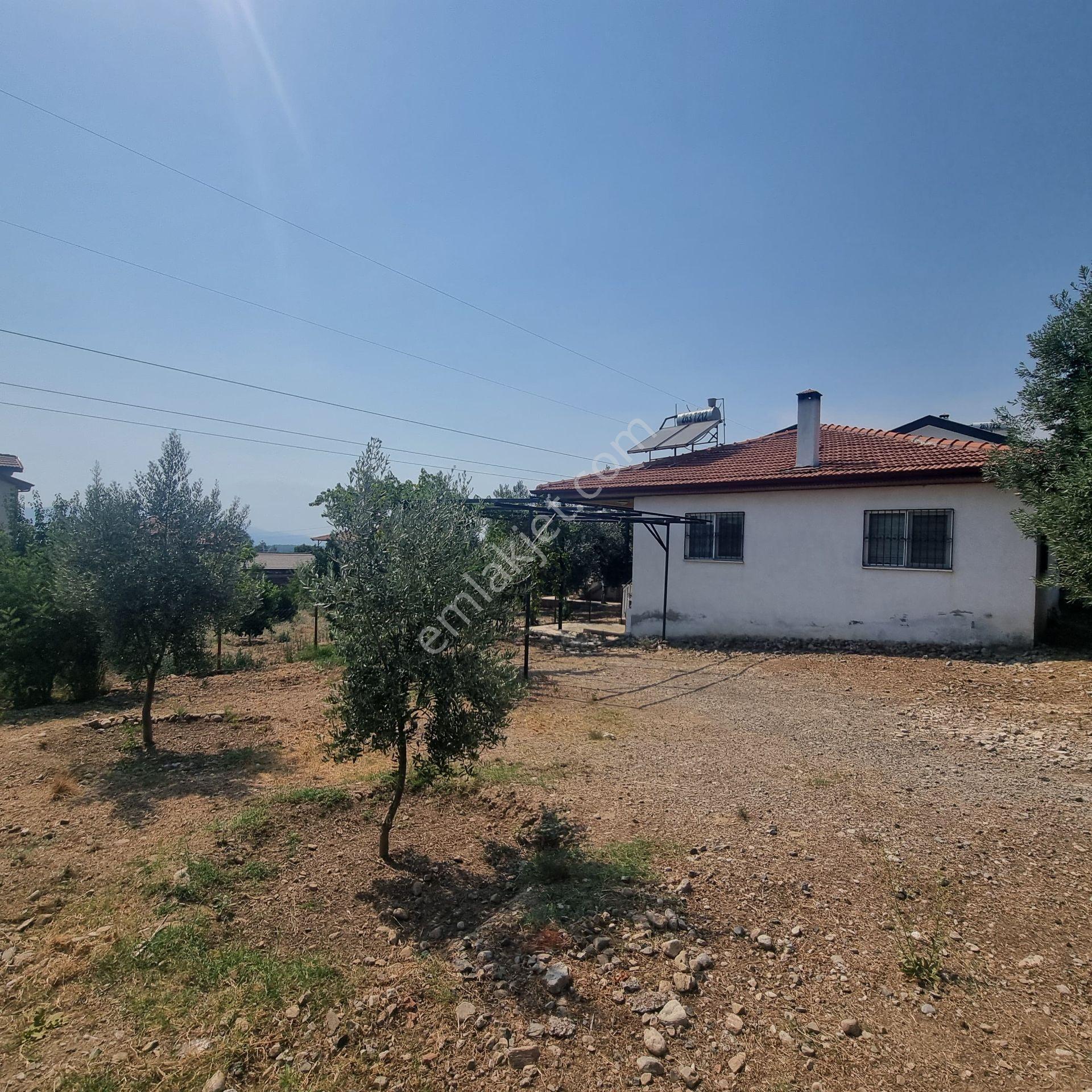 Rota'dan Zeytinalanı'nda Eşyalı Kiralık Geniş Bahçeli 2+1 Müstakil Ev - Görsel 4