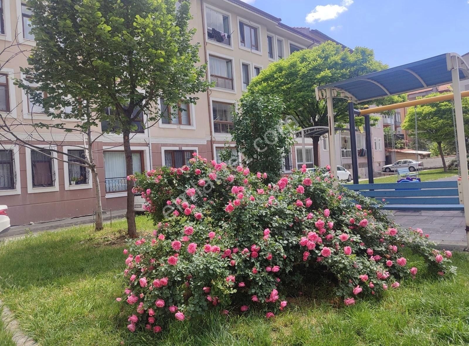 Asel'den Çarşı 1+1 Eşyalı-arakat Güney Cephe Kiralık Daire