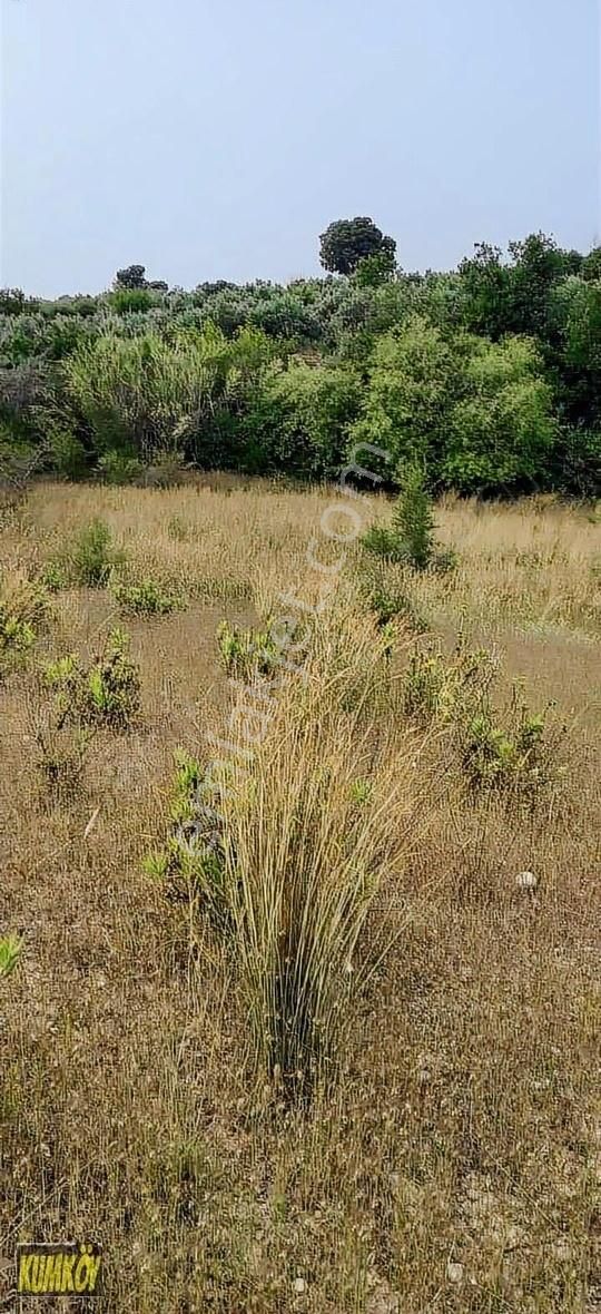 Çolaklı Mah 6250 M2 Satılık İmara Yakın Tarla - Görsel 6