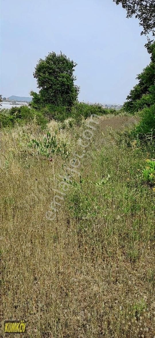 Çolaklı Mah 6250 M2 Satılık İmara Yakın Tarla - Görsel 2