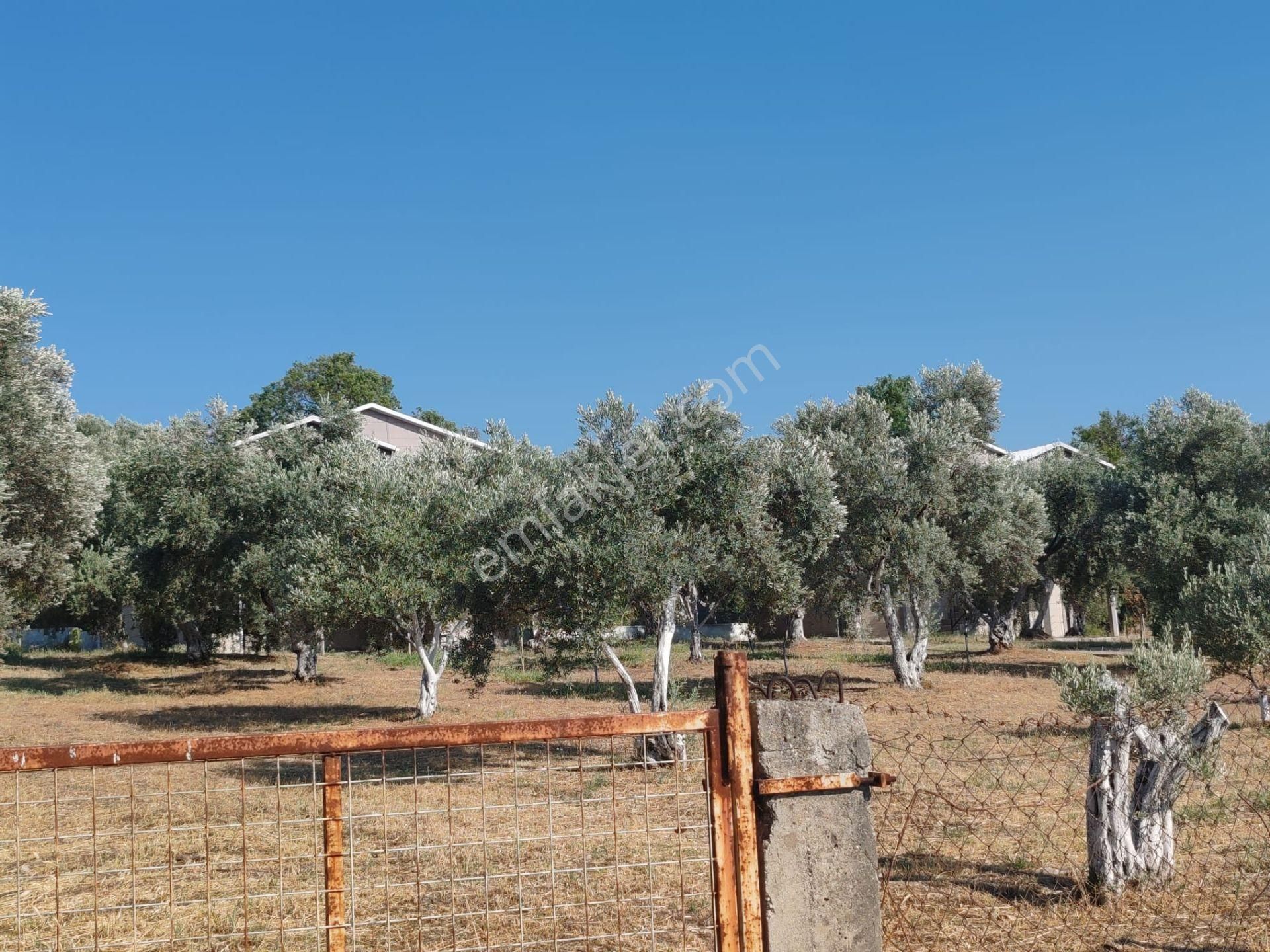 Buca Kırklar Mahallesi 690 M2 Satılık Arsa - Görsel 6