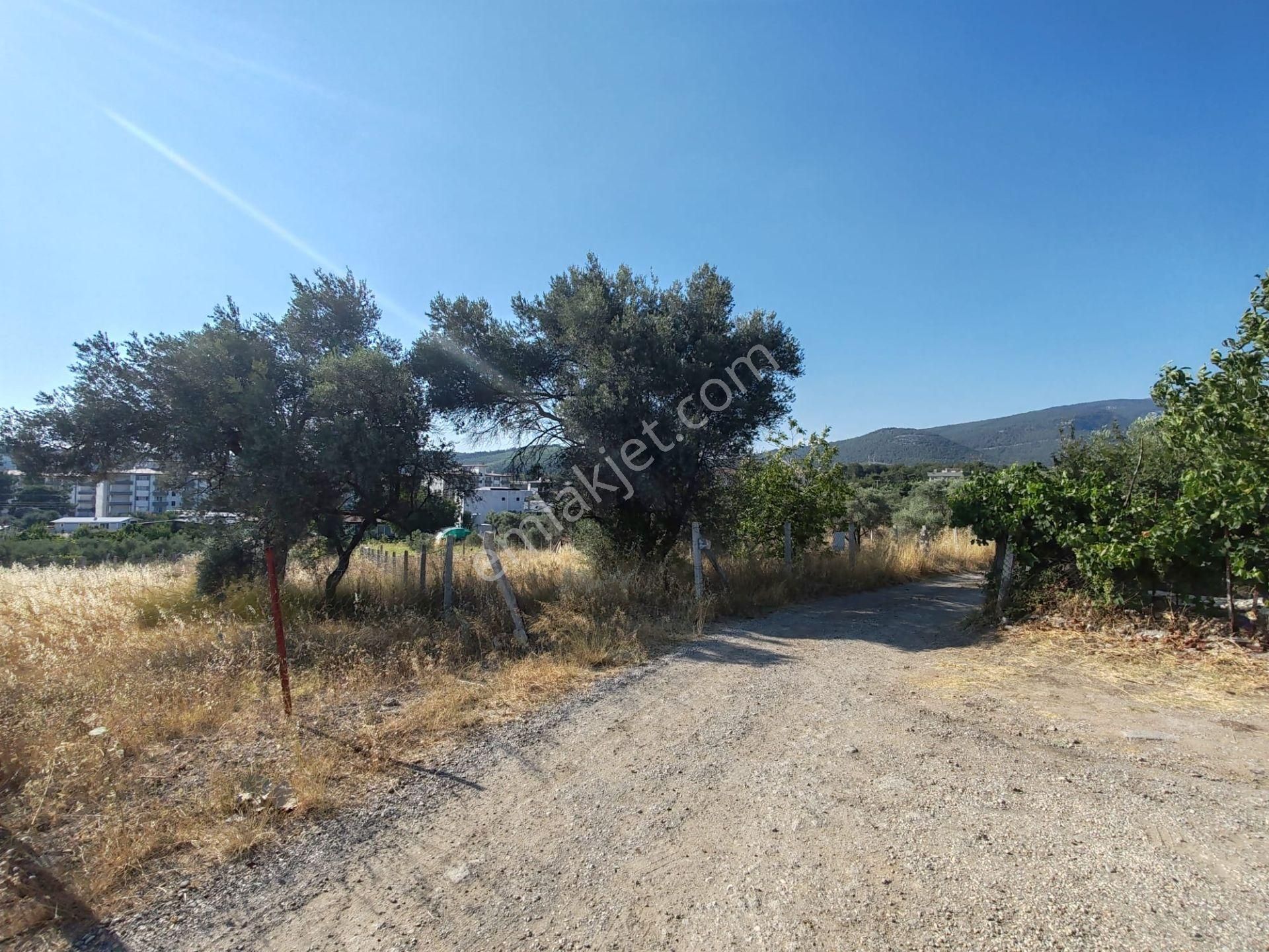 Buca Kırklar Mahallesi 690 M2 Satılık Arsa - Görsel 5