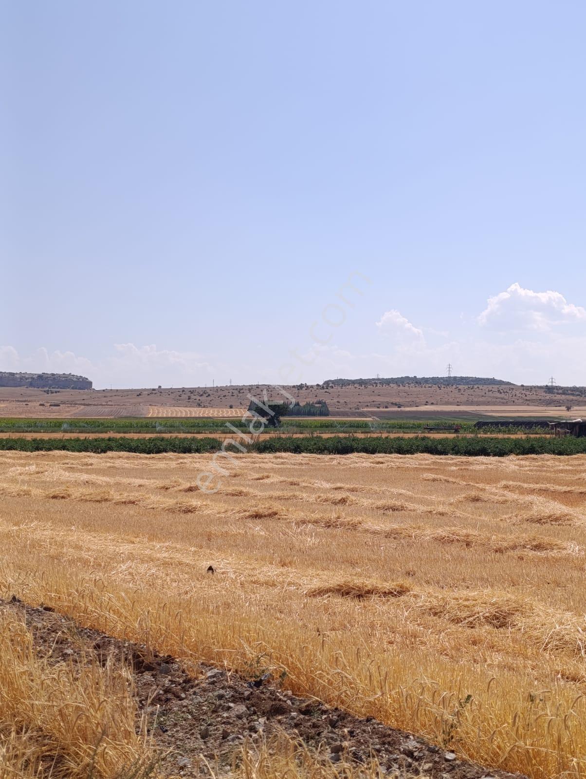 Turgutlarda Satılık Tarla