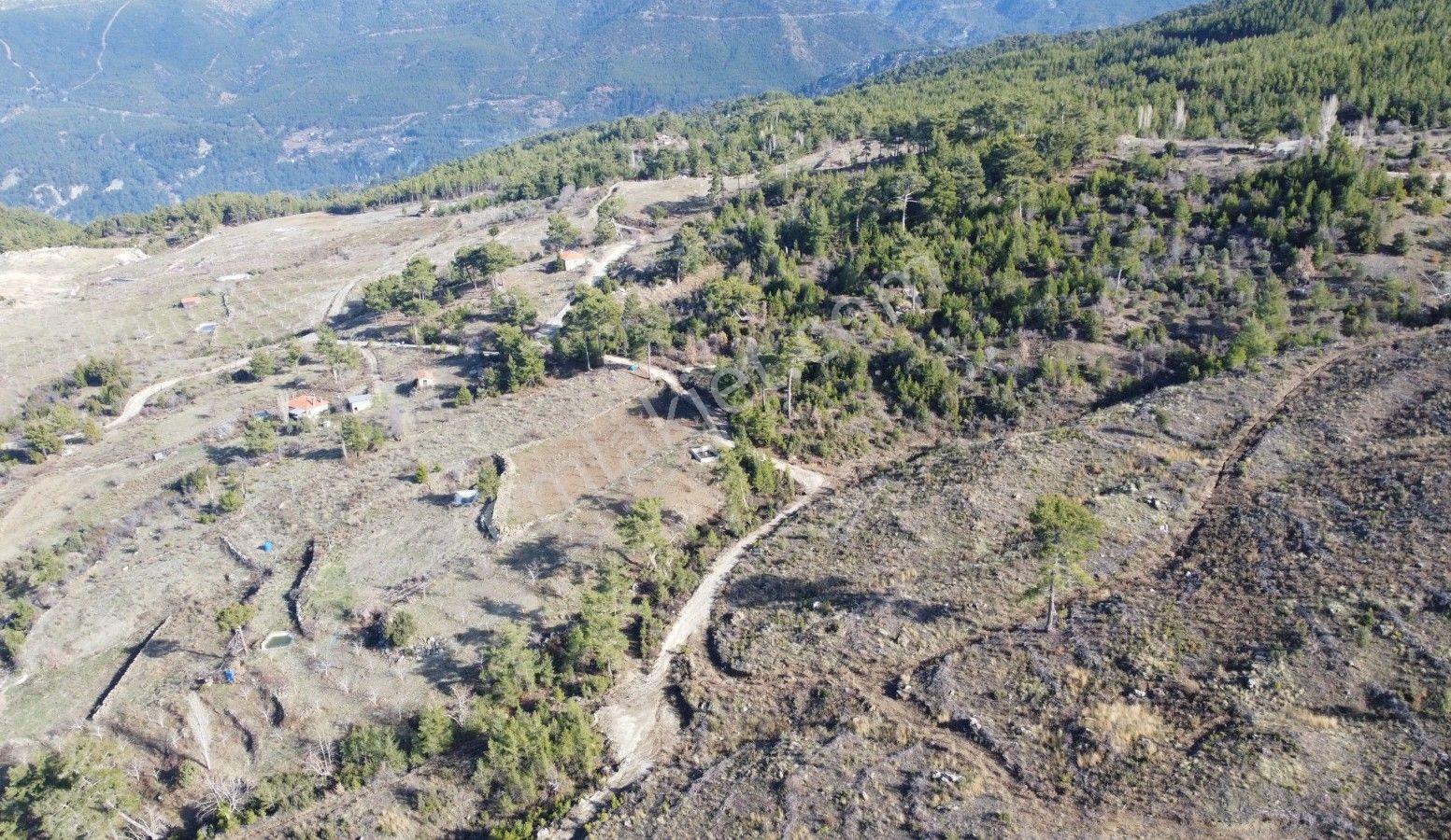 Dalaman Da Dost Emlaktan Gürleykte 4840 M² Satılık Tarla - Görsel 33