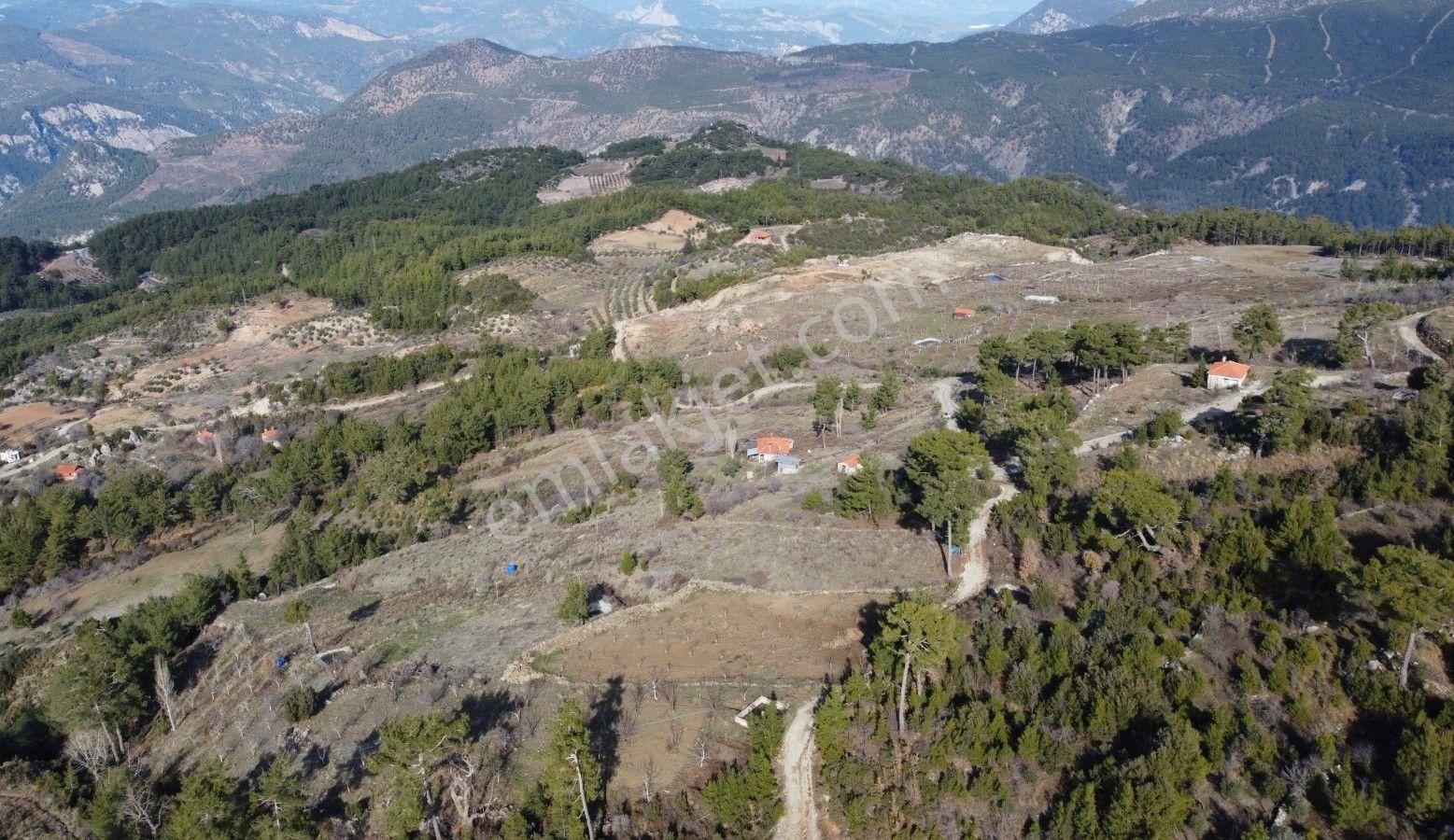 Dalaman Da Dost Emlaktan Gürleykte 4840 M² Satılık Tarla - Görsel 26