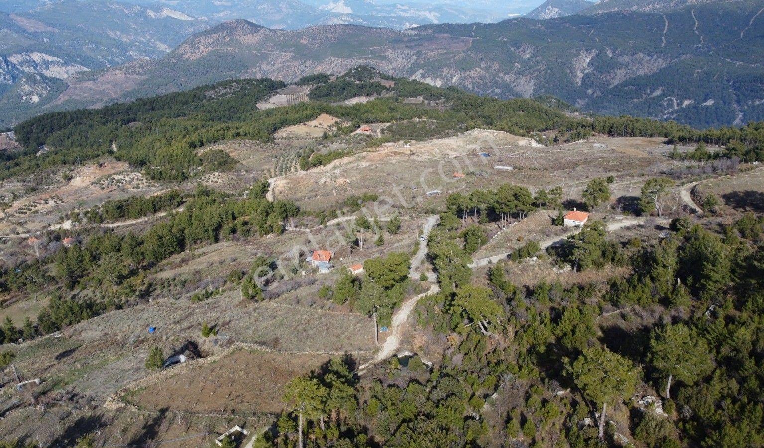 Dalaman Da Dost Emlaktan Gürleykte 4840 M² Satılık Tarla - Görsel 24