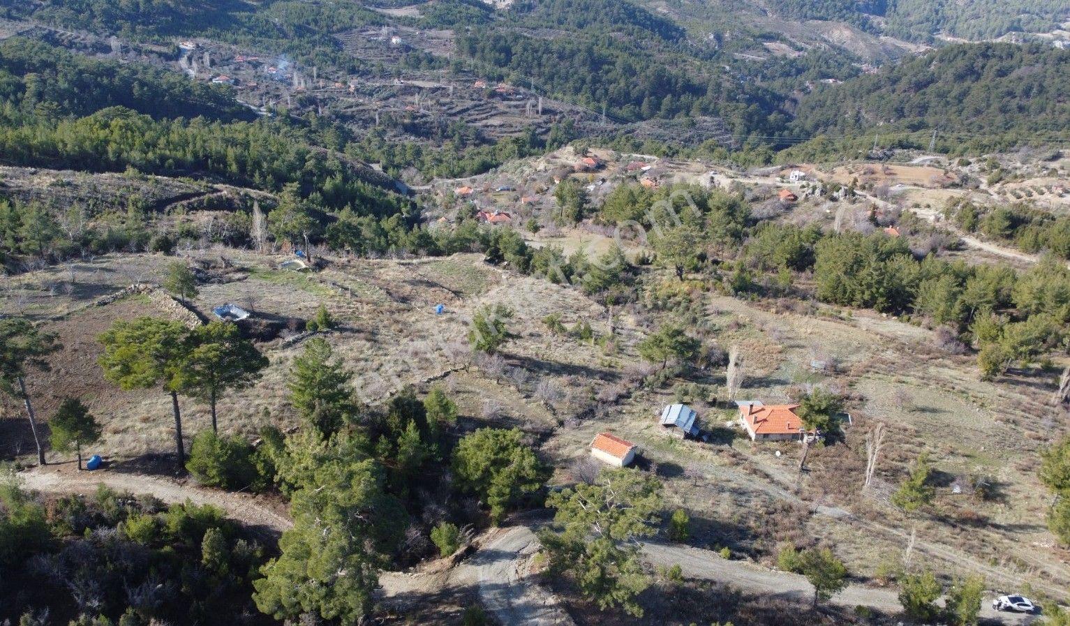 Dalaman Da Dost Emlaktan Gürleykte 4840 M² Satılık Tarla - Görsel 10