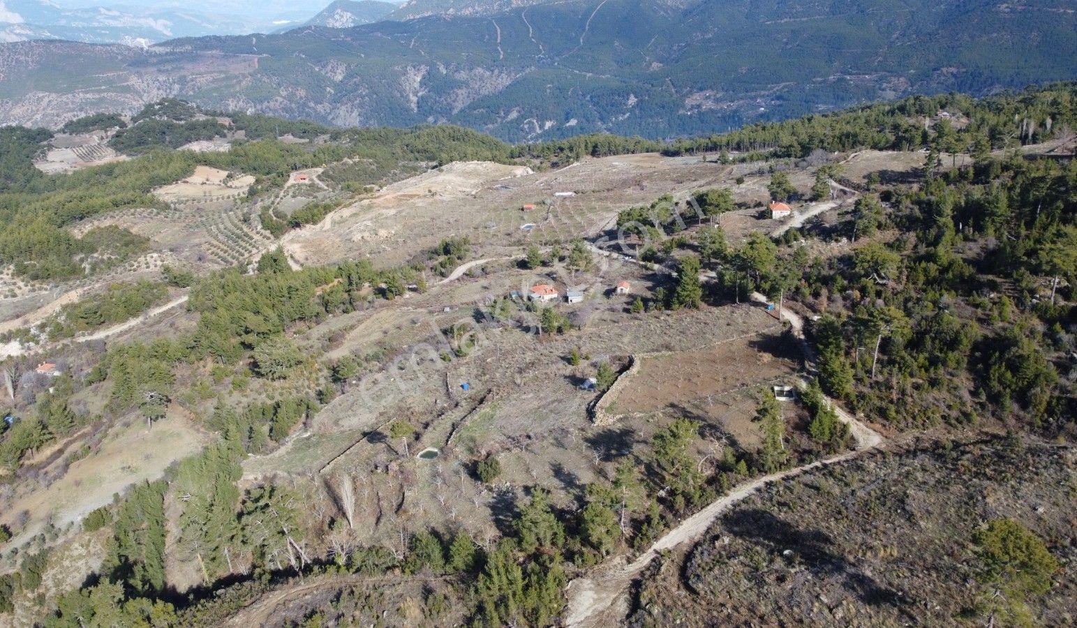 Dalaman Da Dost Emlaktan Gürleykte 4840 M² Satılık Tarla - Görsel 31