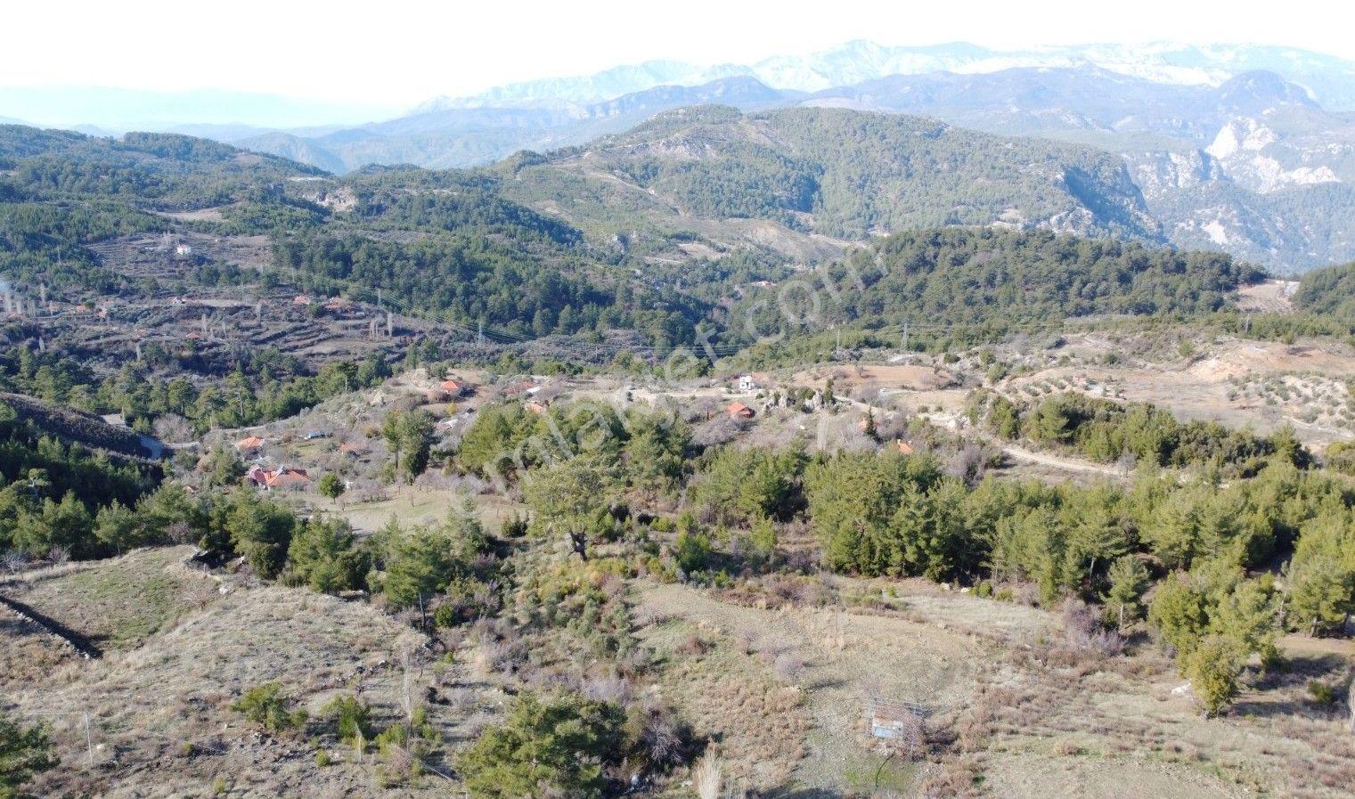 Dalaman Da Dost Emlaktan Gürleykte 4840 M² Satılık Tarla - Görsel 7