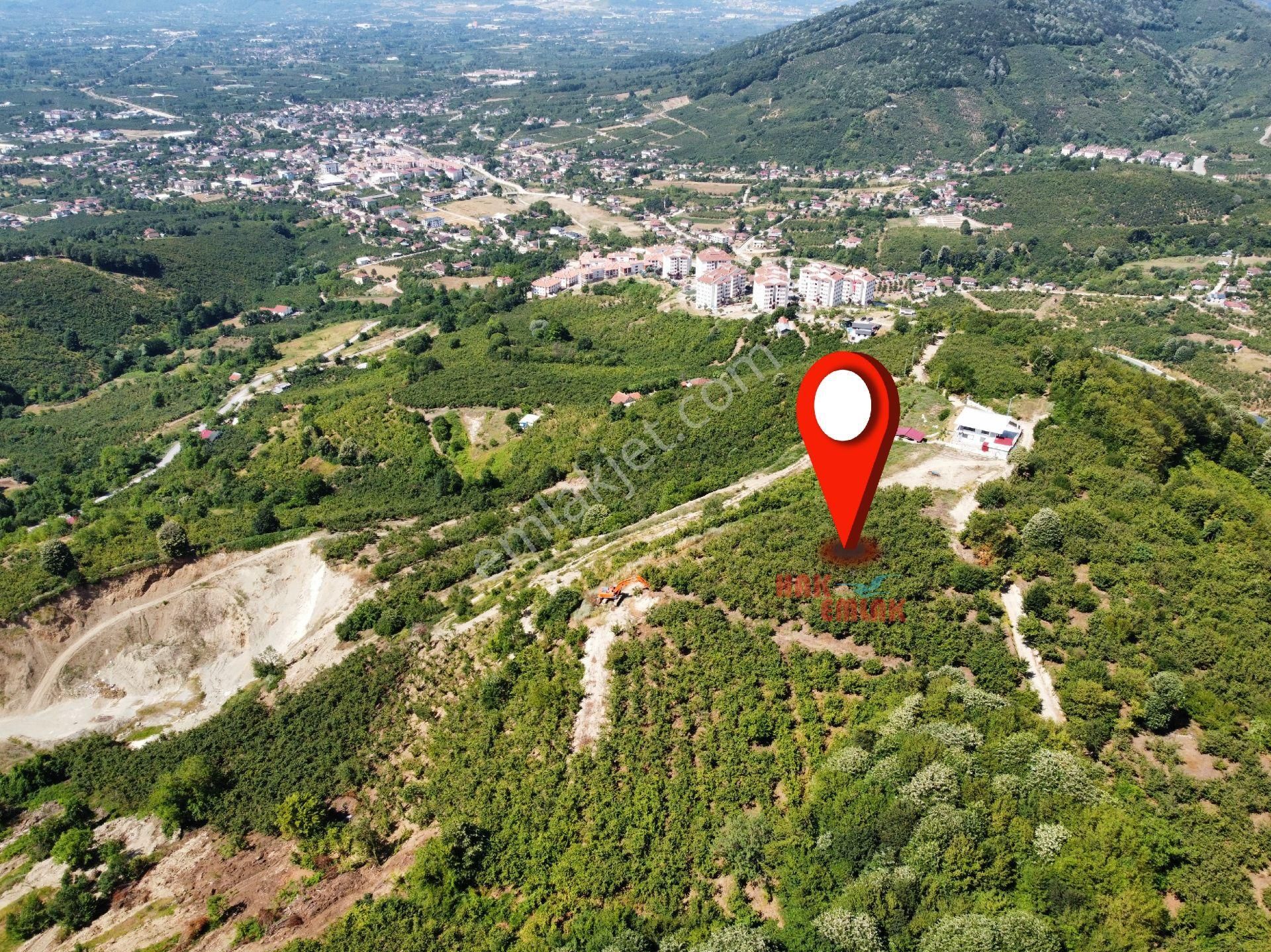 Hak Emlak'tan Çilimli Yeşil Mahalle Satılık 33.000m² Bahçe