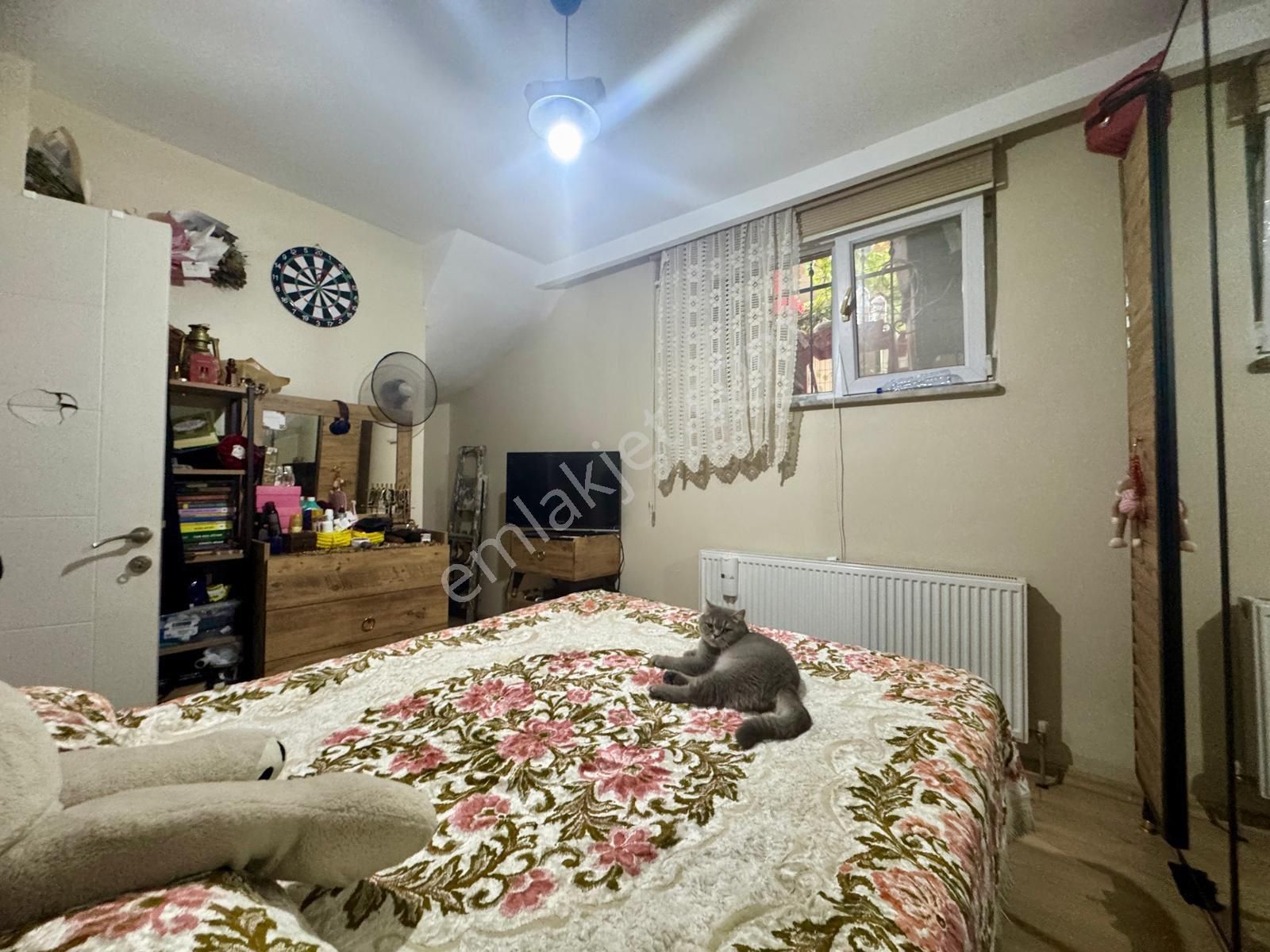 Emlakçılar Aramasın - Görsel 8