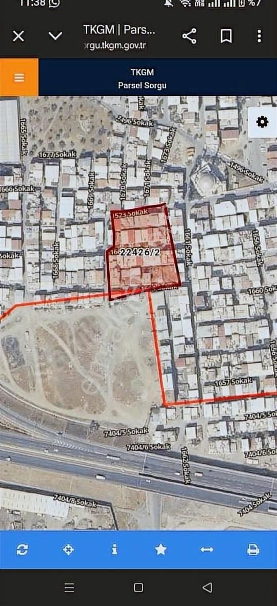 Bornova Doğanlarda Hisse Tapulu Satılık Zeytinlik