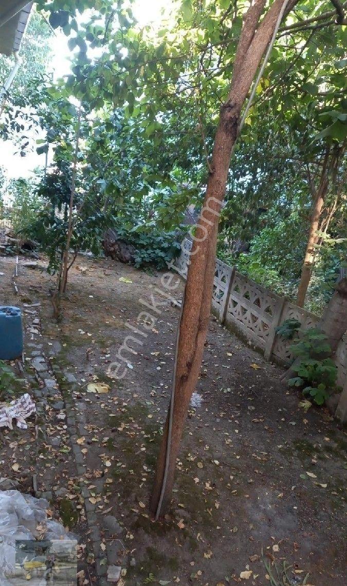 Müstakil 195 M2 Arsa İçinde 4+1 165 M2 Olan Dublex Ev Satılık... - Görsel 30